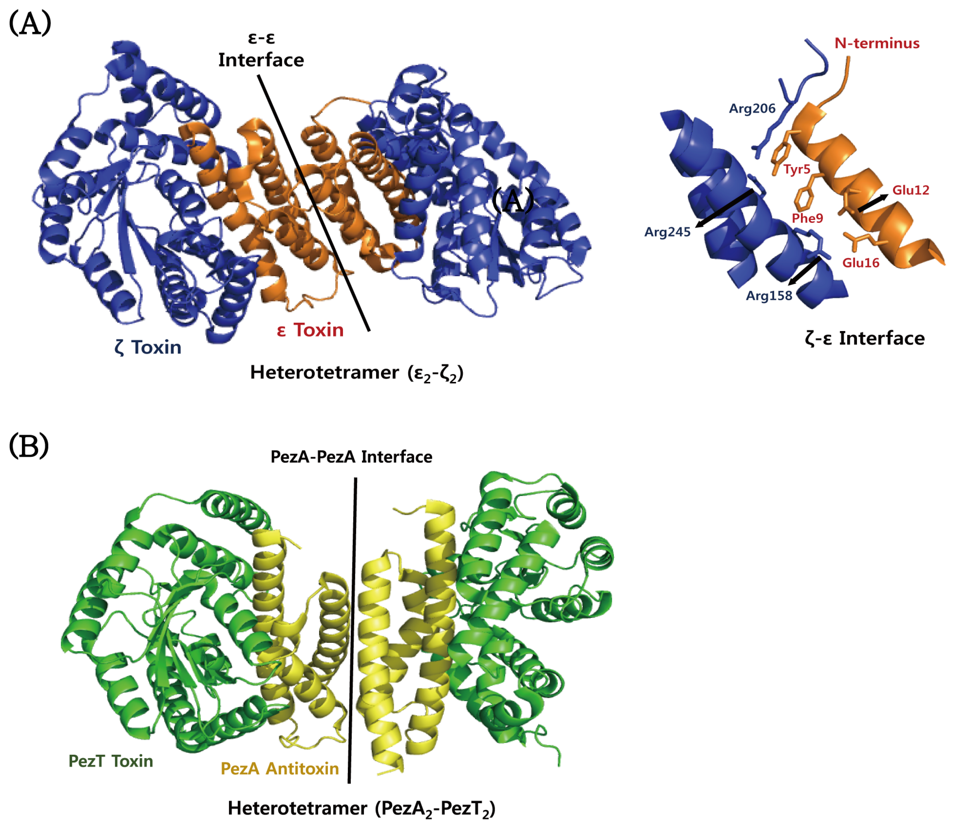 Toxins 08 00305 g007