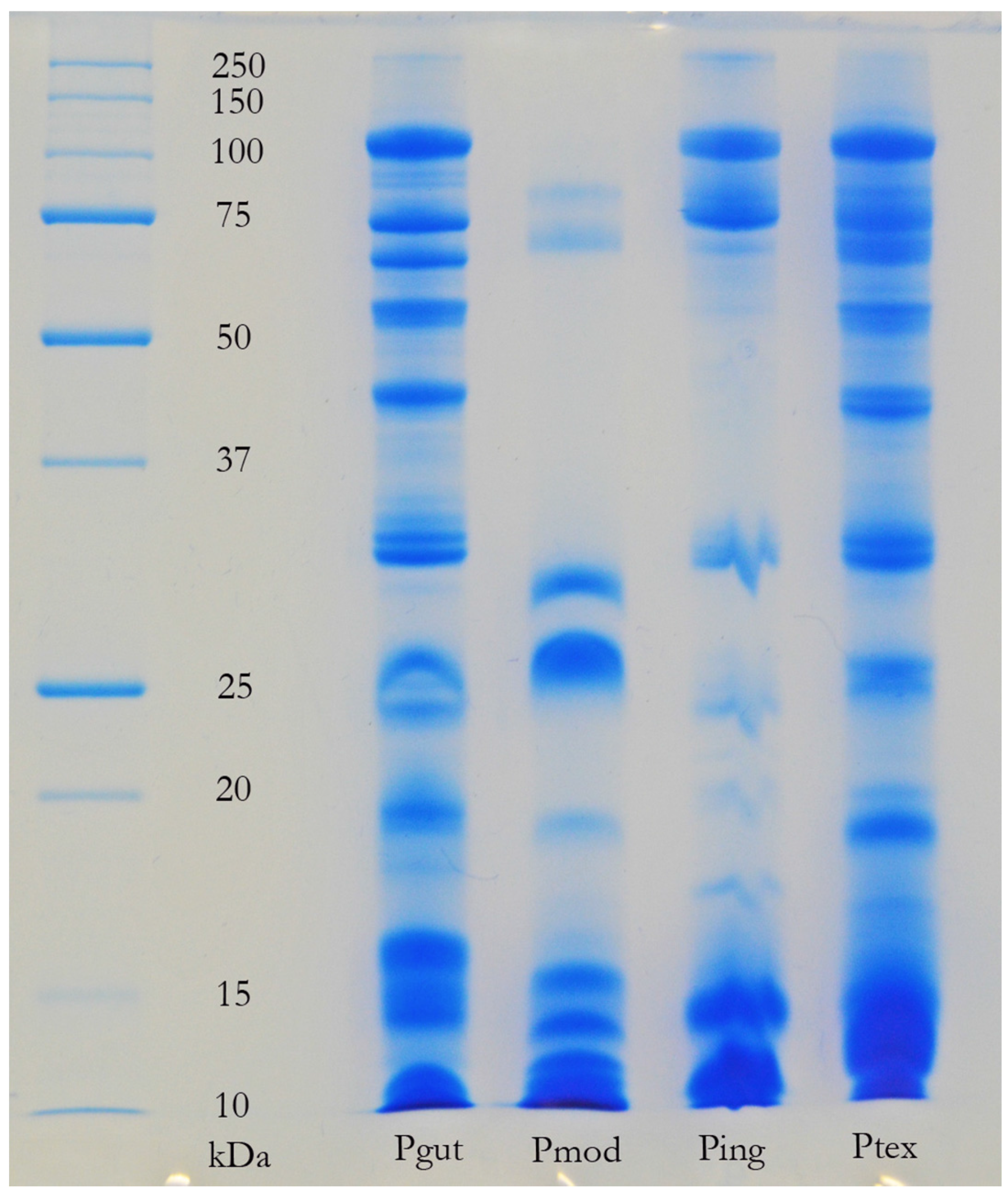 Toxins 08 00309 g005