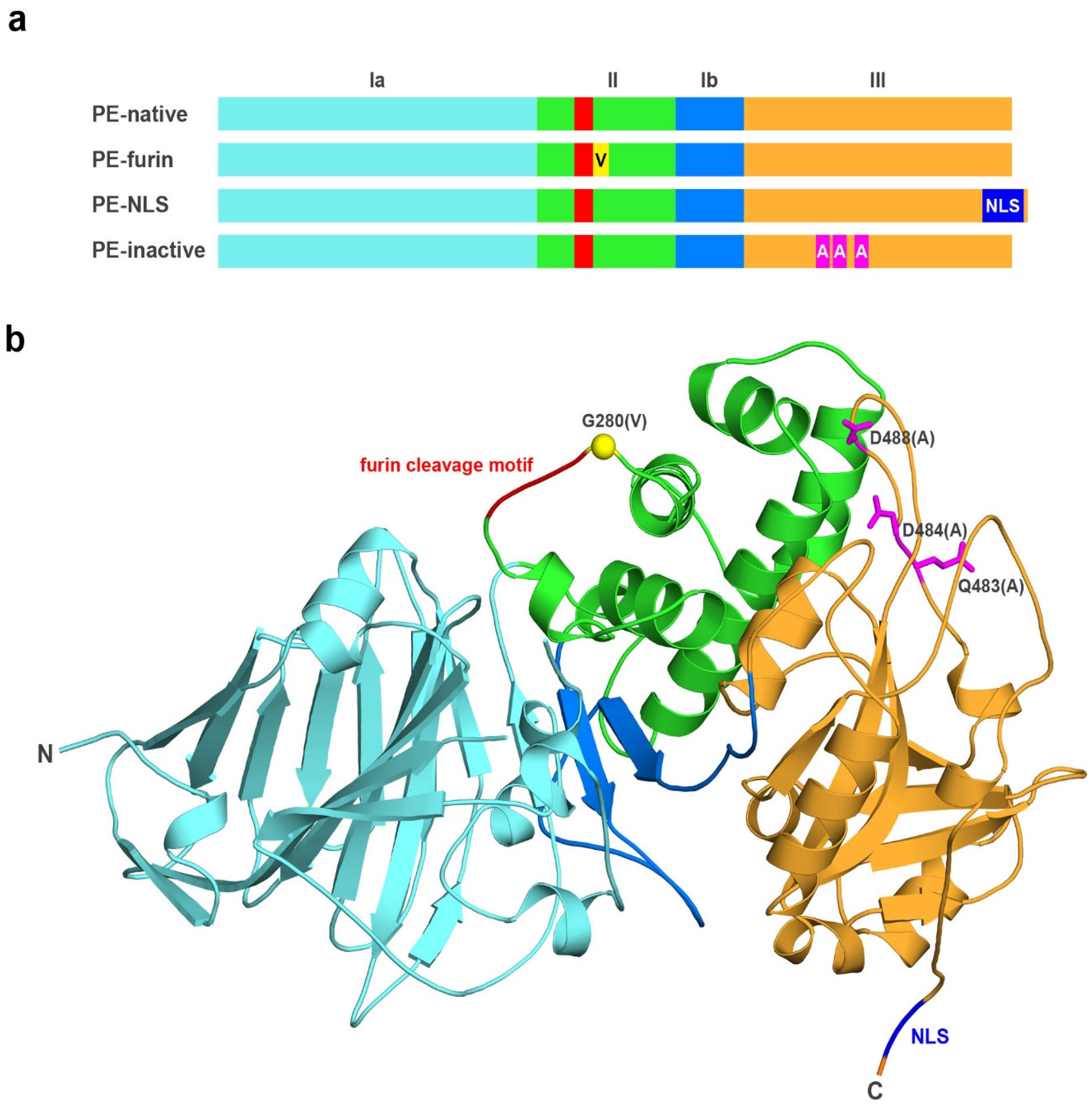 Toxins 08 00321 g001