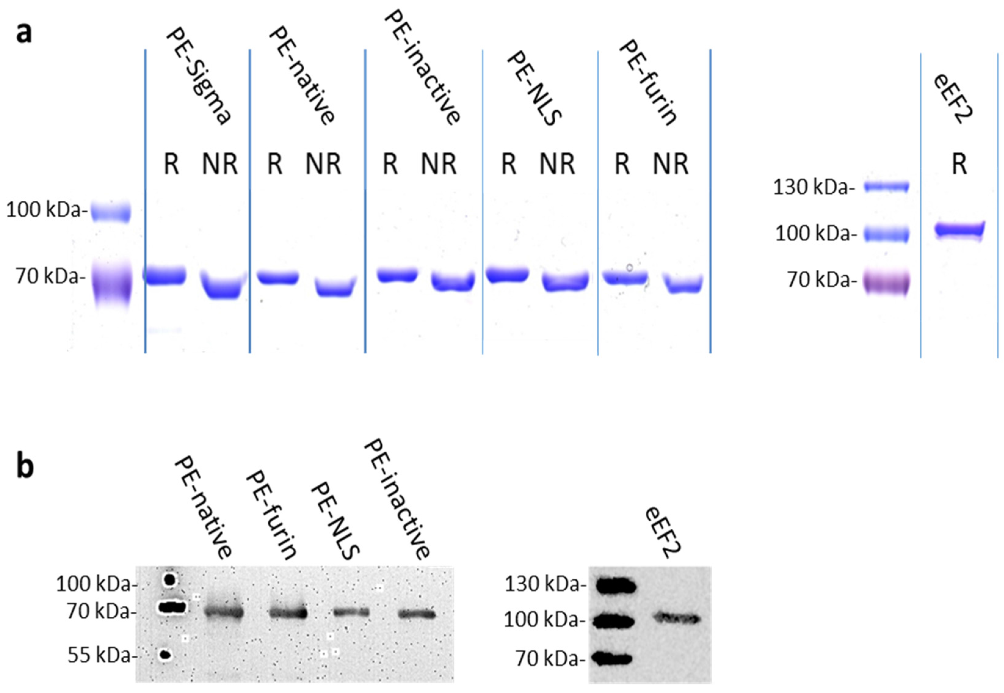 Toxins 08 00321 g002