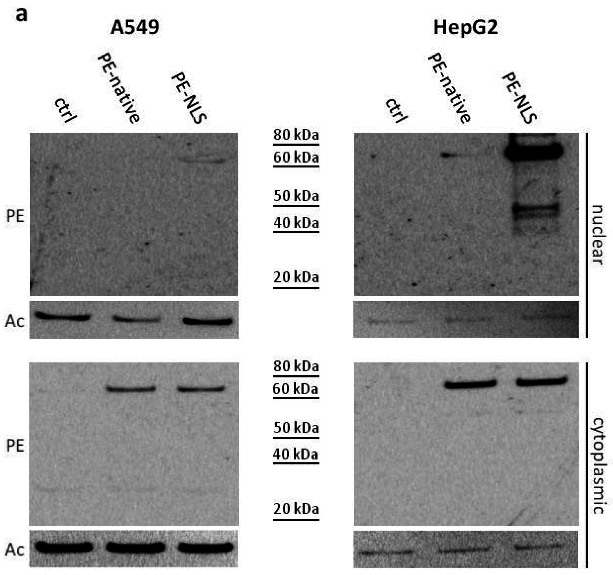 Toxins 08 00321 g003a