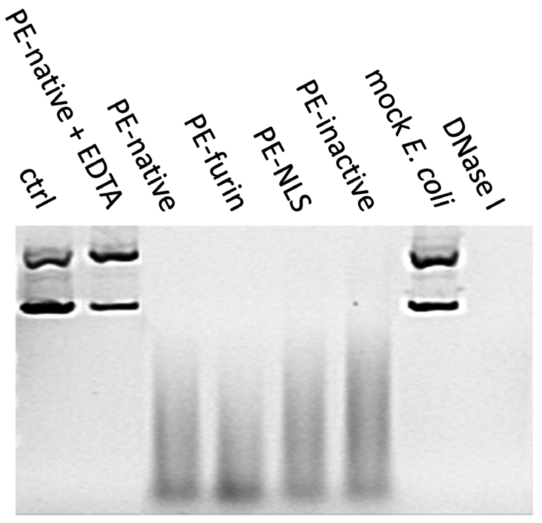 Toxins 08 00321 g007