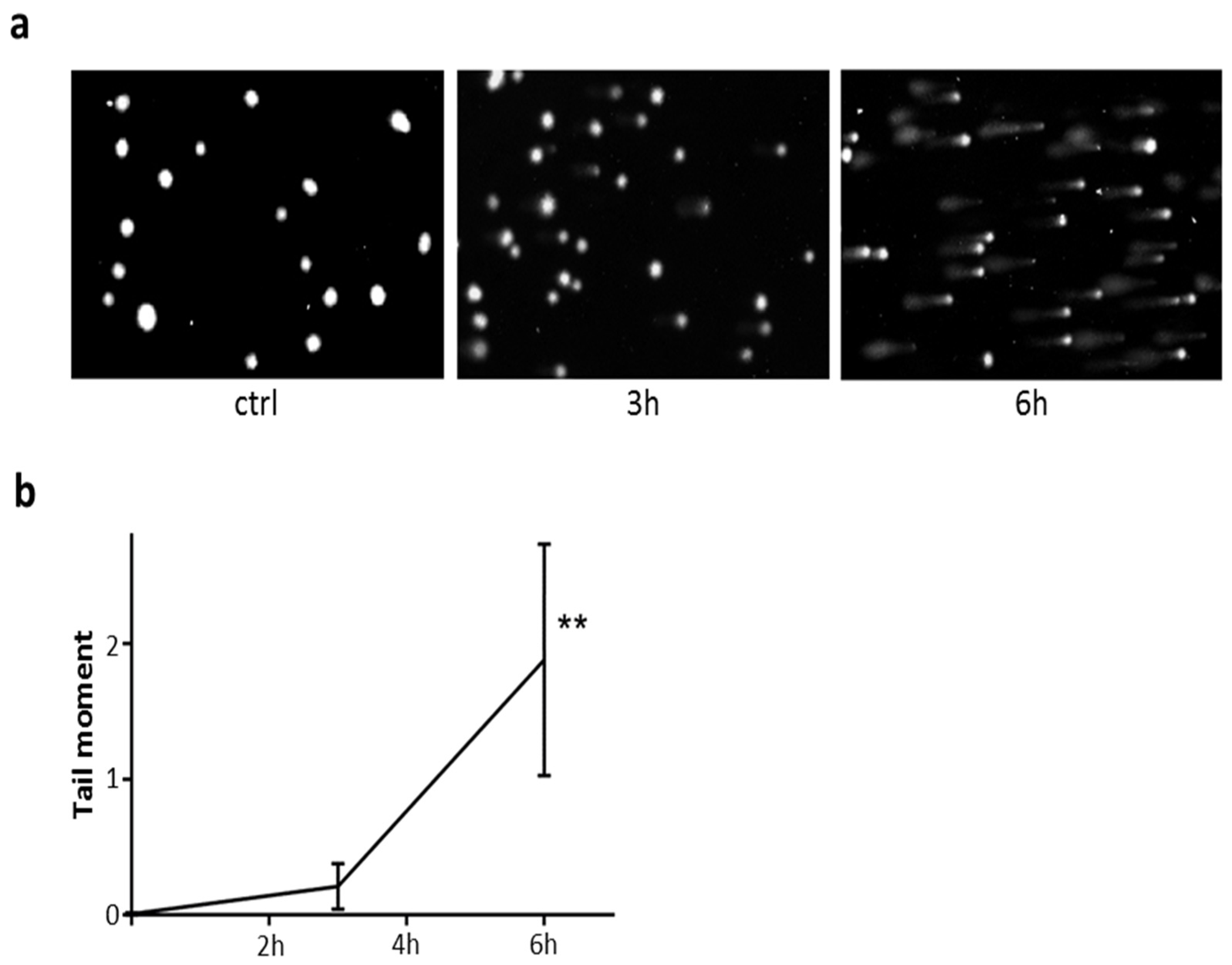 Toxins 08 00321 g008