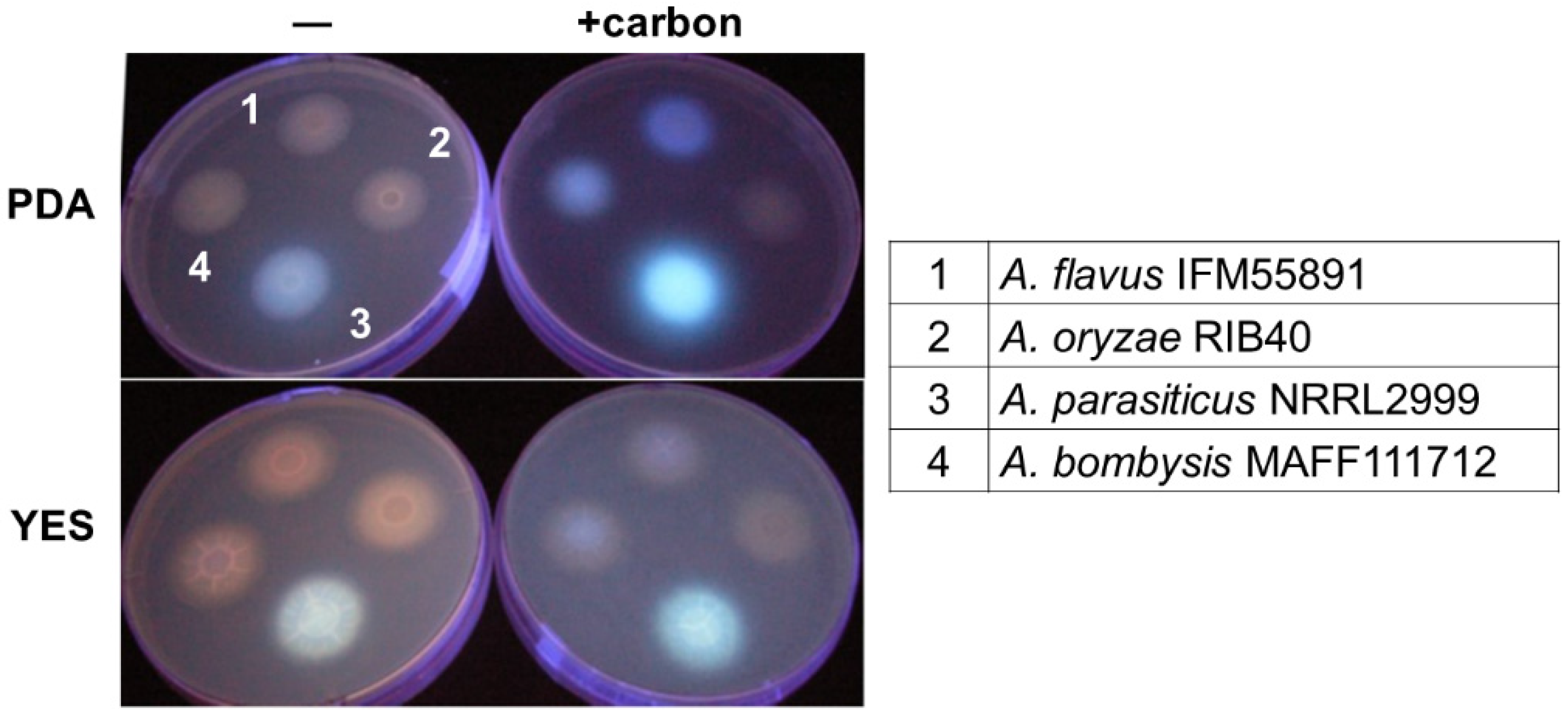 Toxins 08 00338 g002