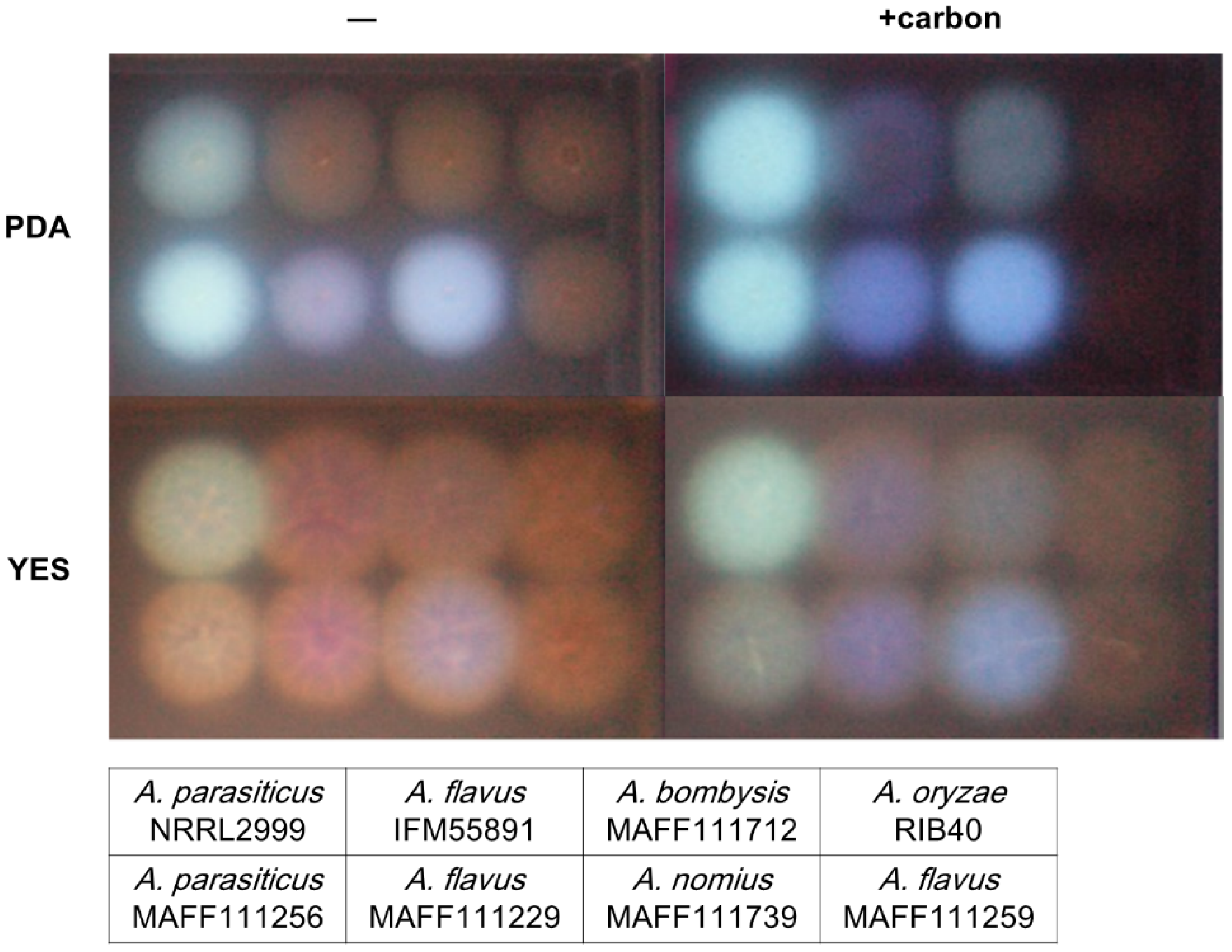 Toxins 08 00338 g004