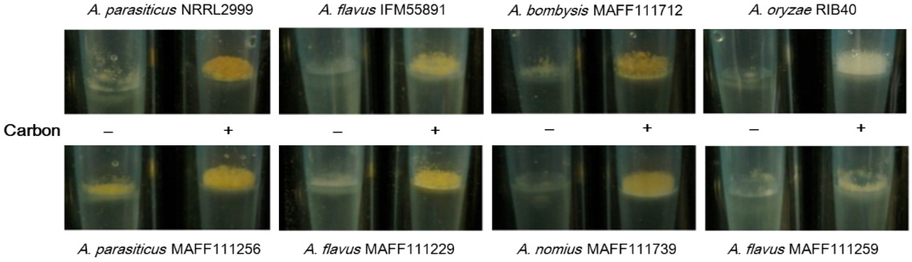 Toxins 08 00338 g005