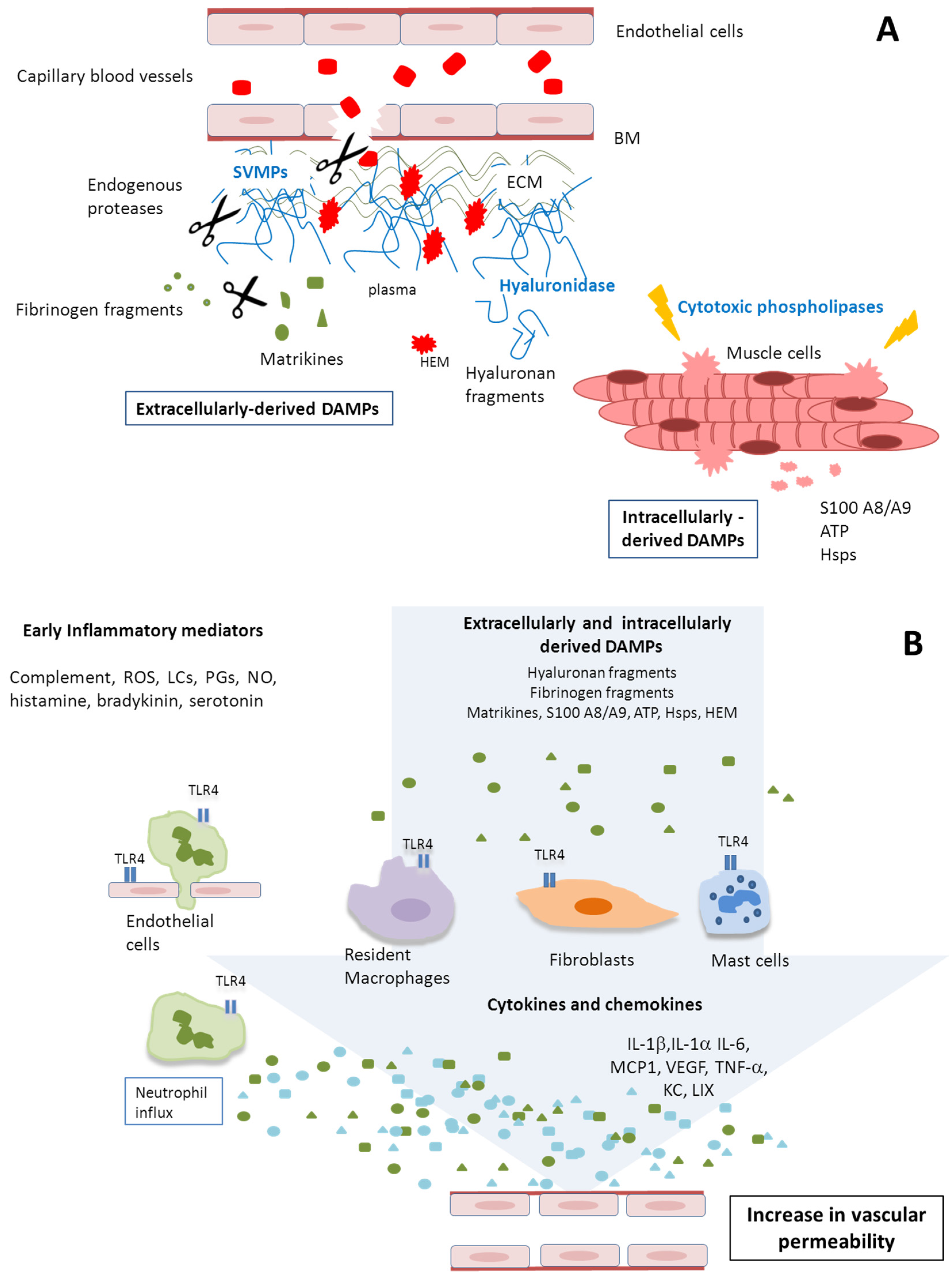 Toxins 08 00349 g003 550