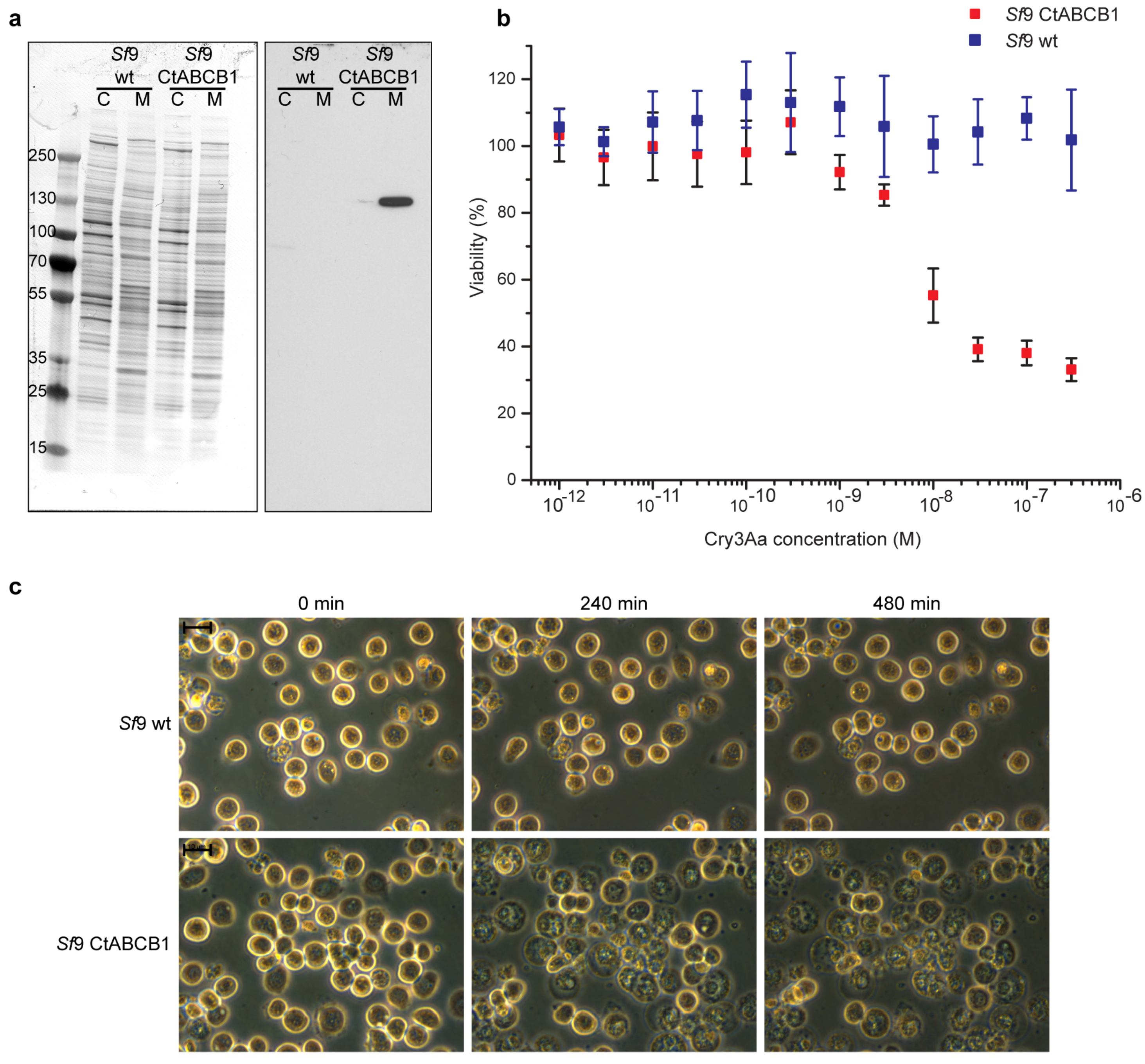 Toxins 08 00362 g003