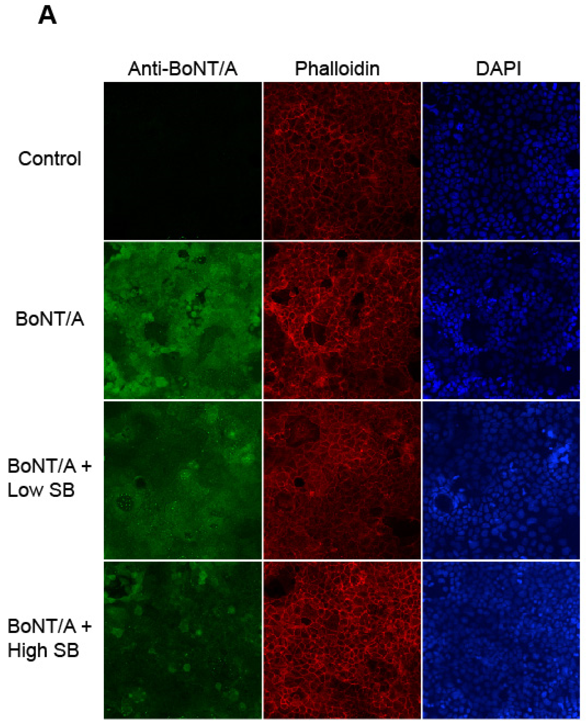 Toxins 08 00377 g001a