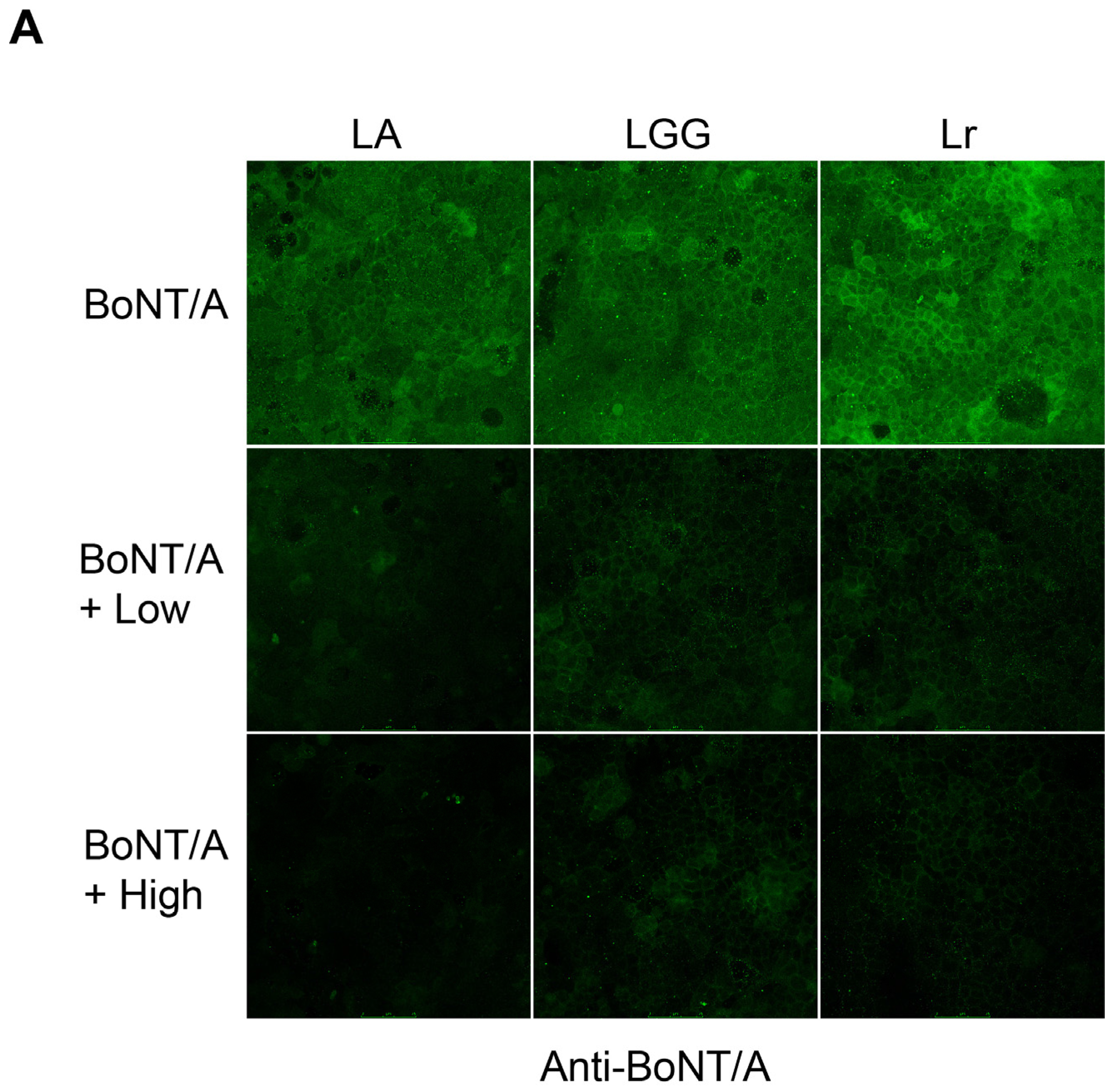 Toxins 08 00377 g003a