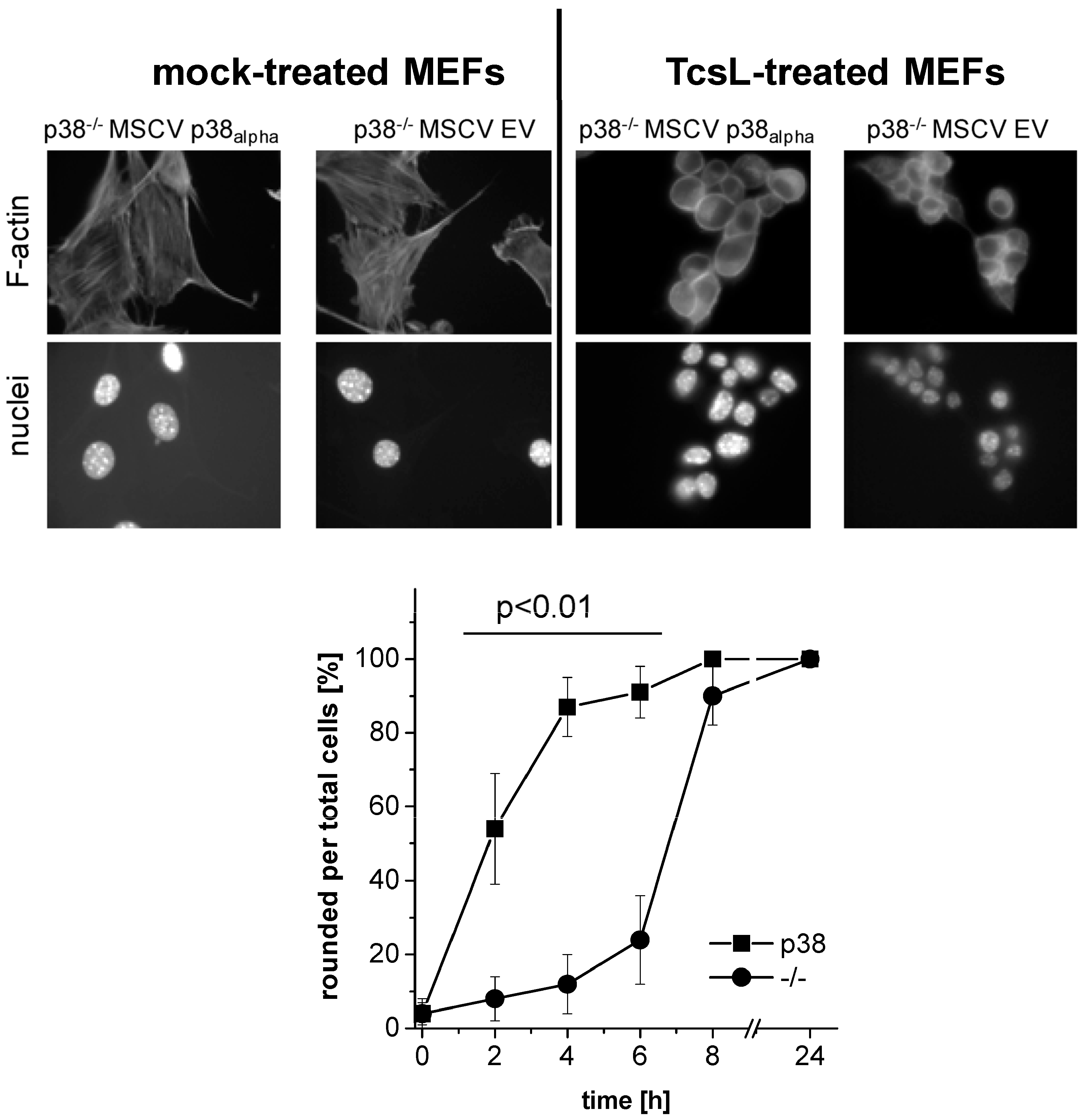 Toxins 09 00002 g001