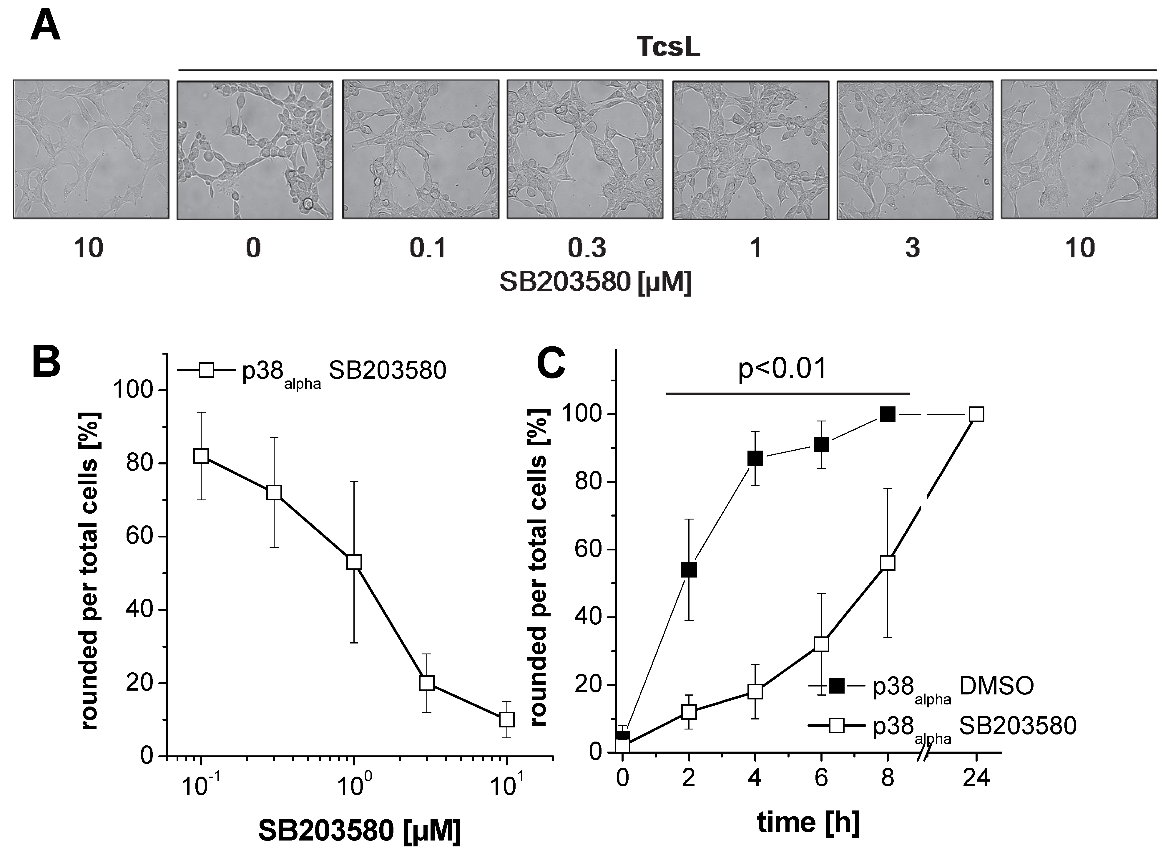 Toxins 09 00002 g002