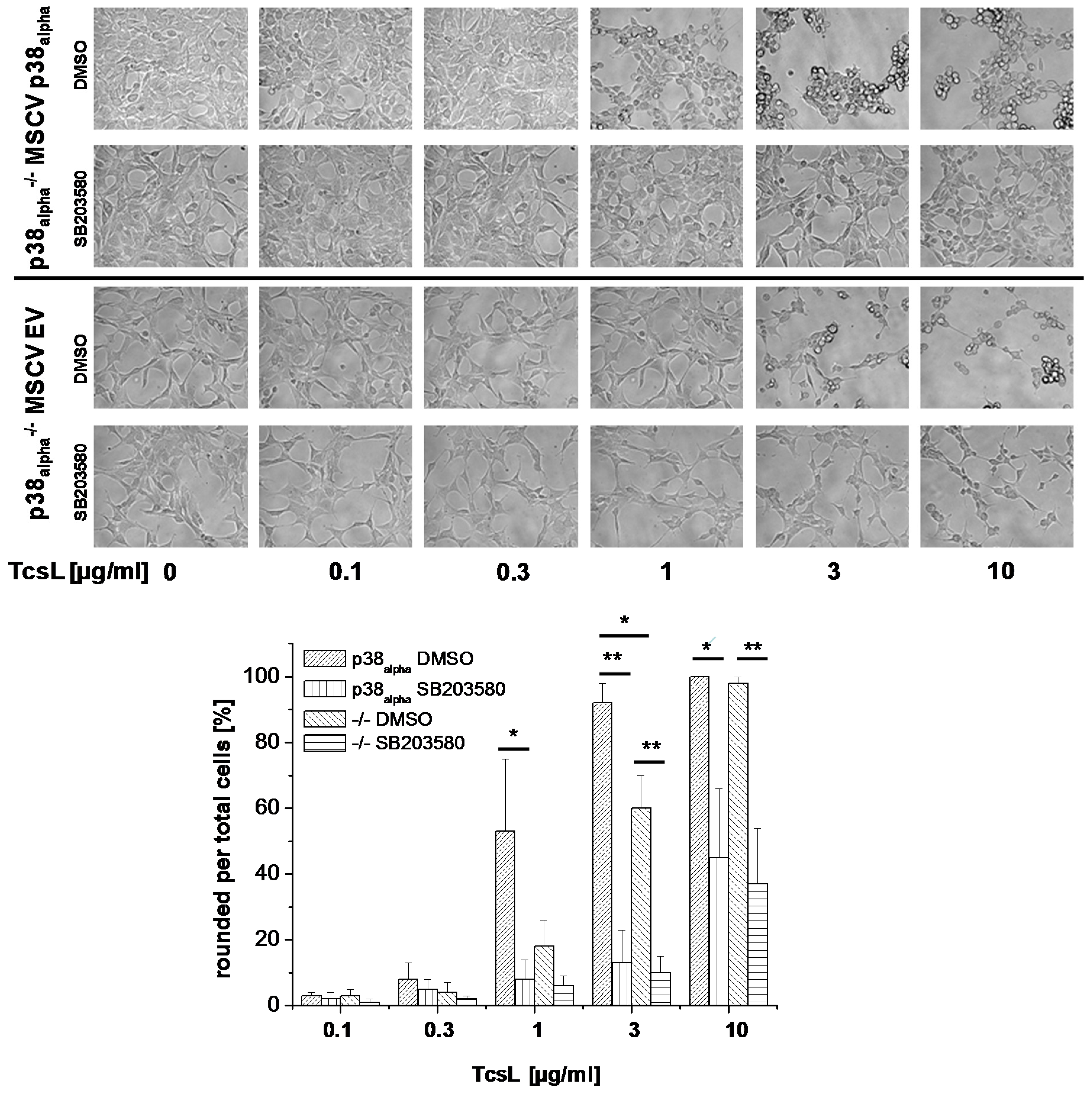 Toxins 09 00002 g003