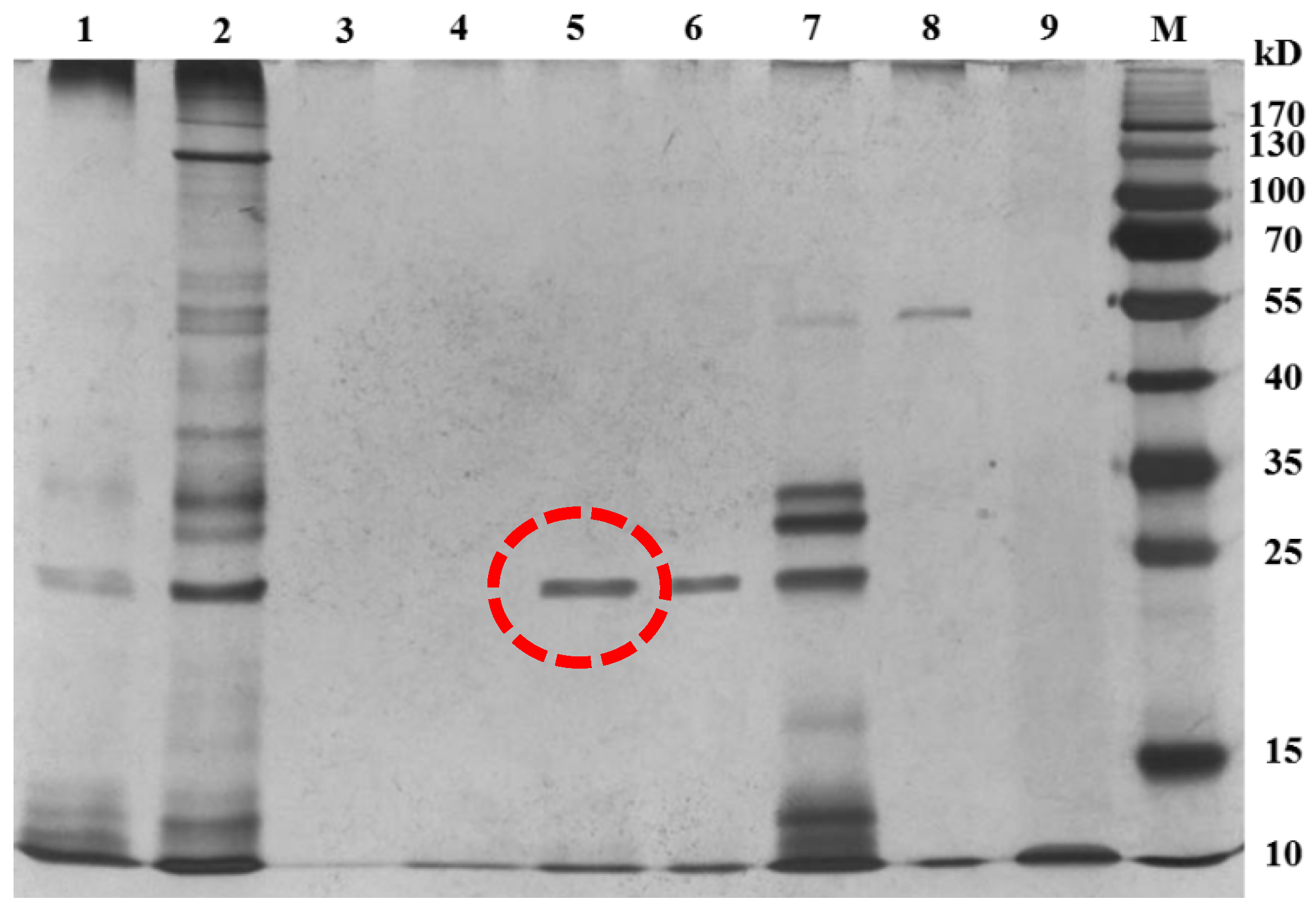 Toxins 09 00036 g006 550