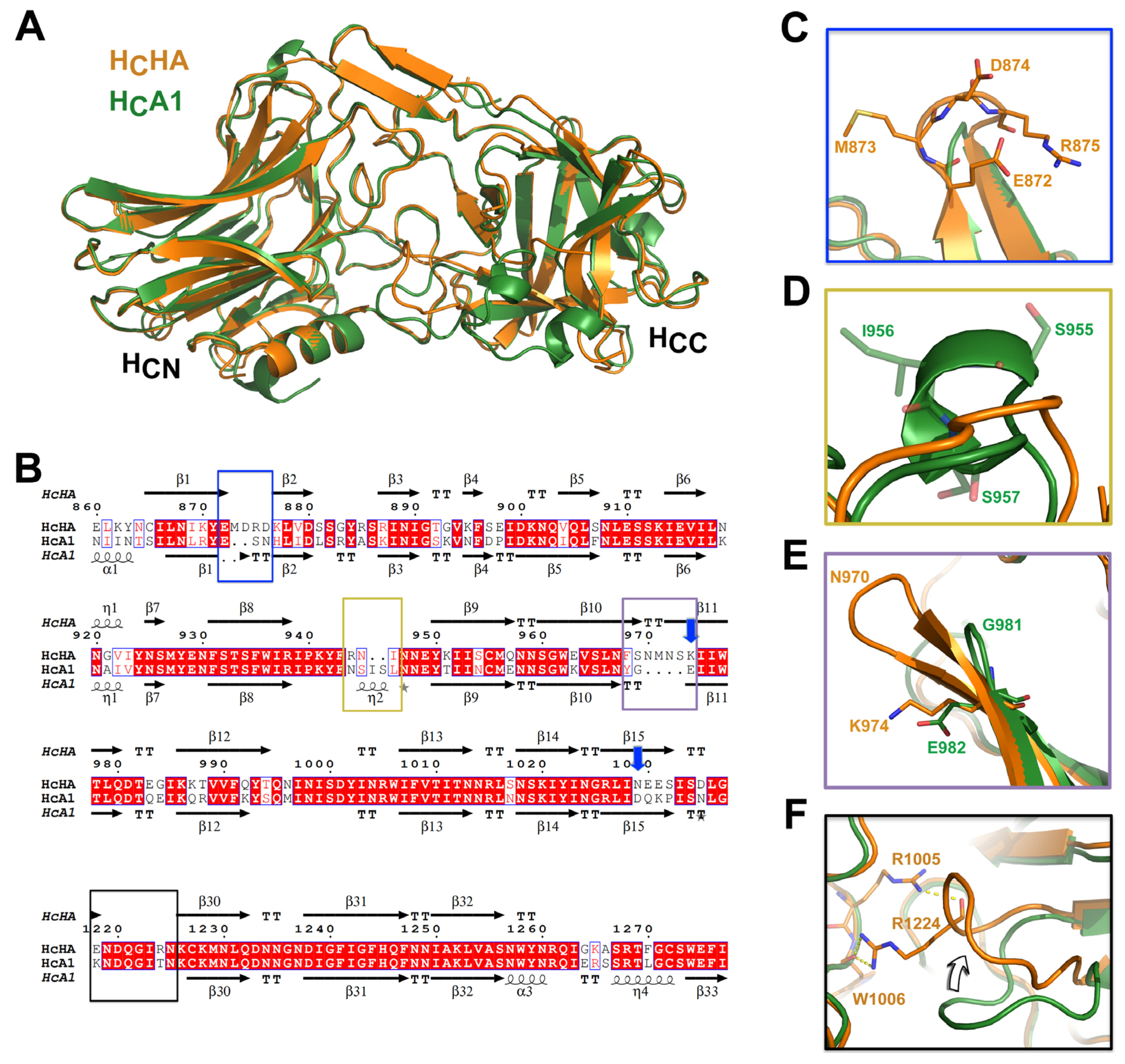 rongsheng jin lab quotation
