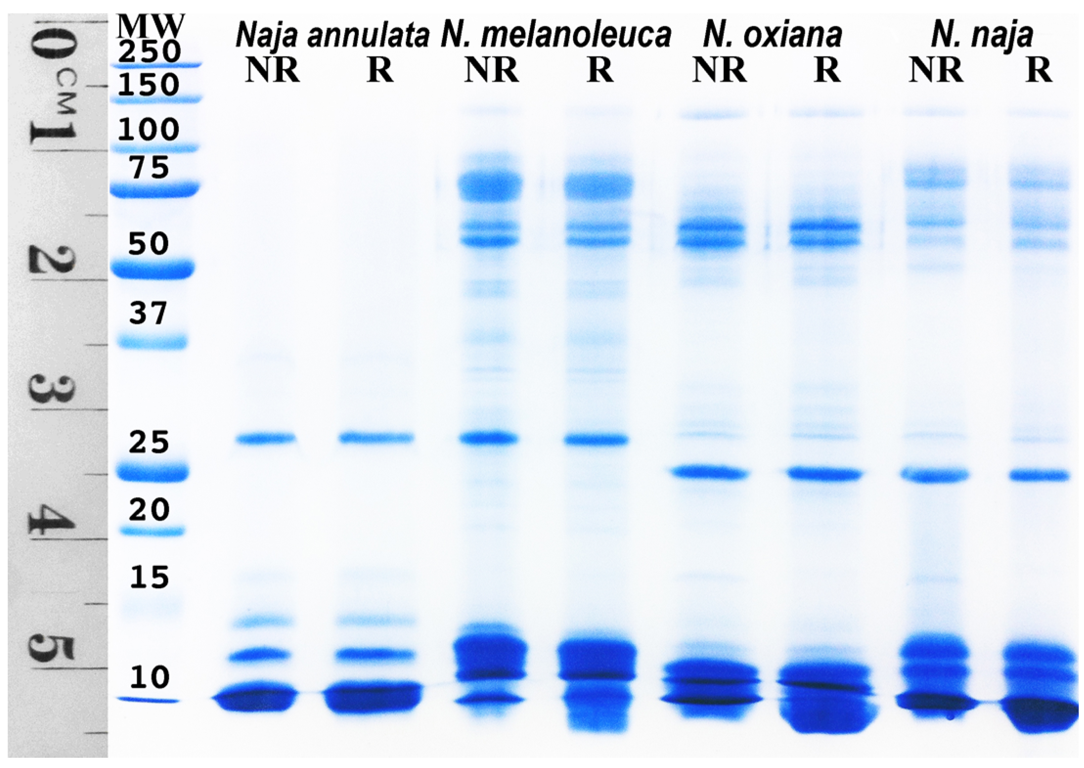 Toxins 09 00103 g008