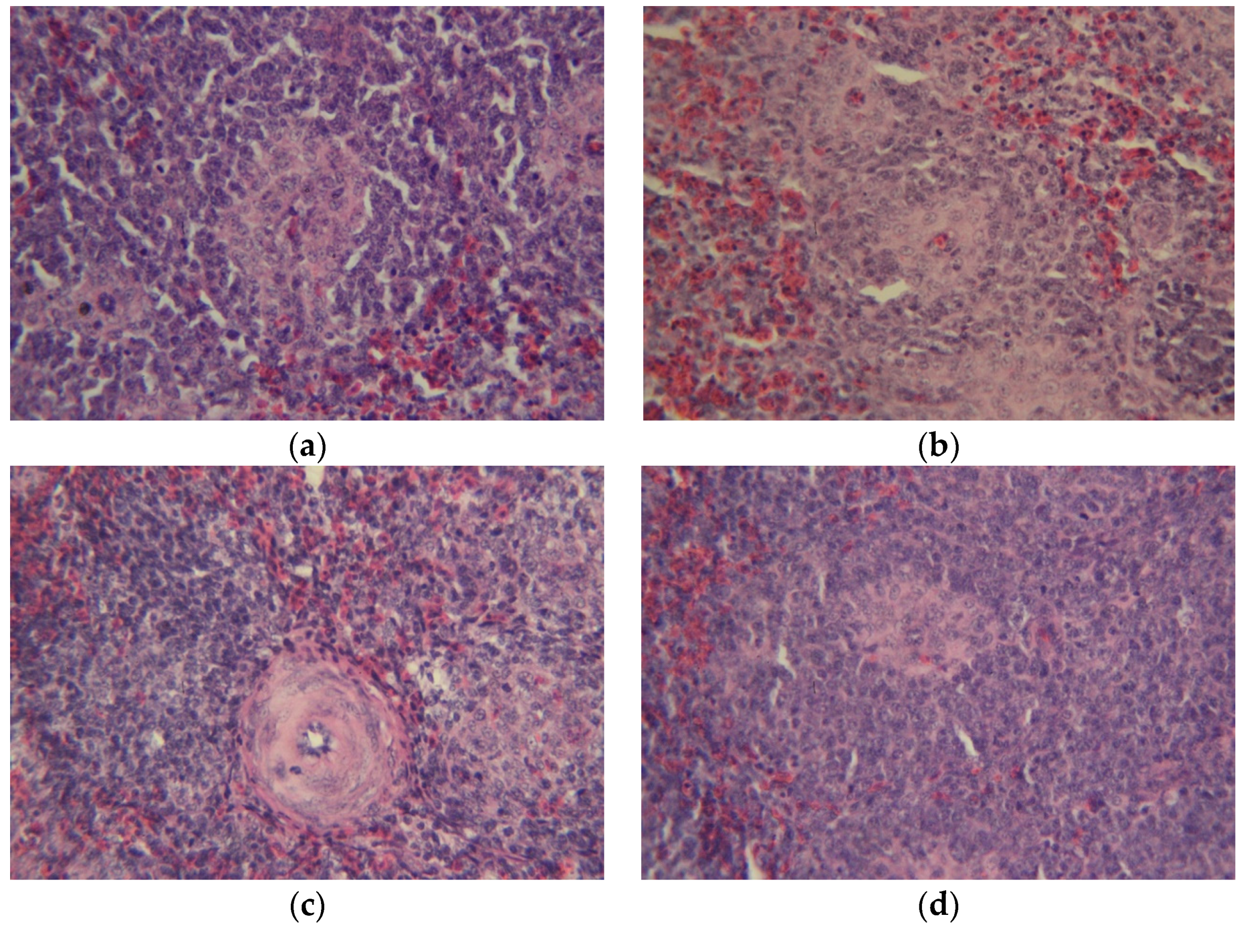 Toxins 09 00104 g005 550