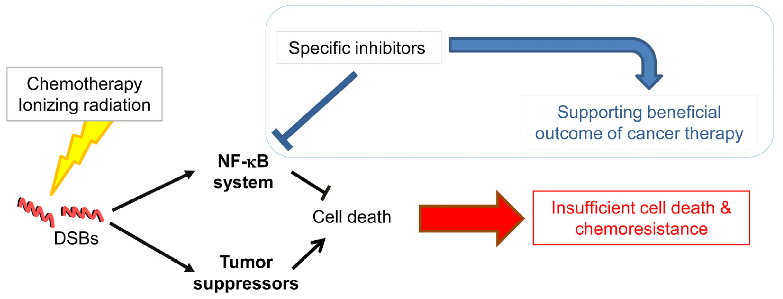 NF‐κB Signaling in Gastric Cancer