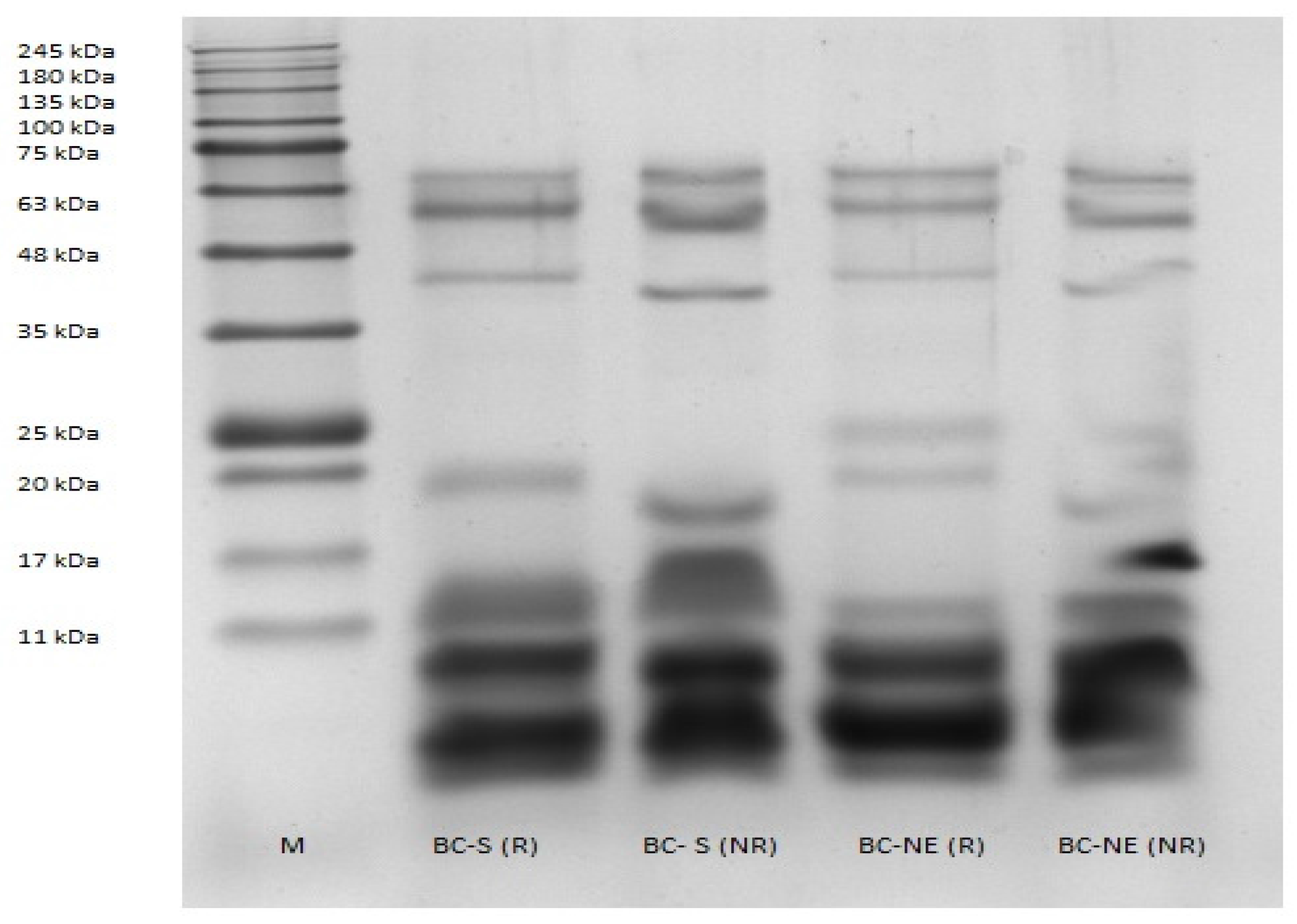 Toxins 09 00122 g001