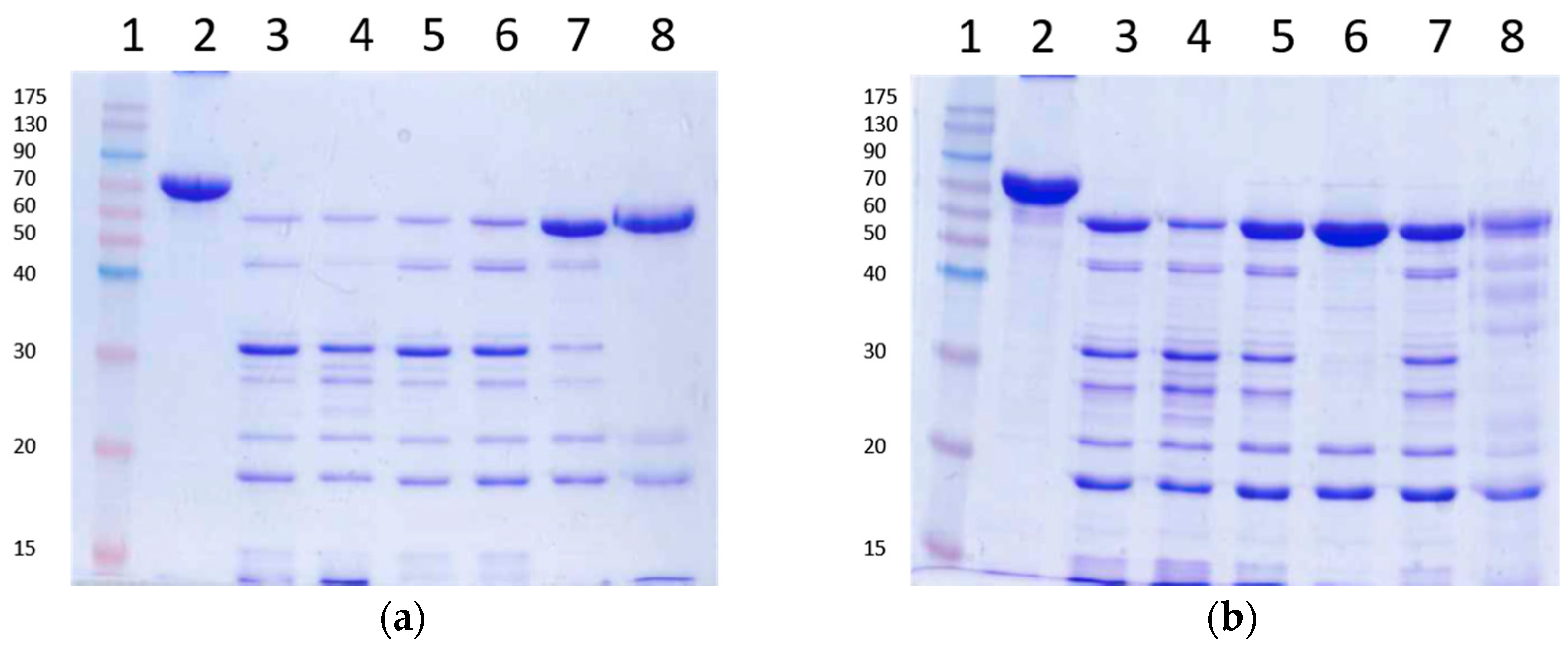 Toxins 09 00131 g003