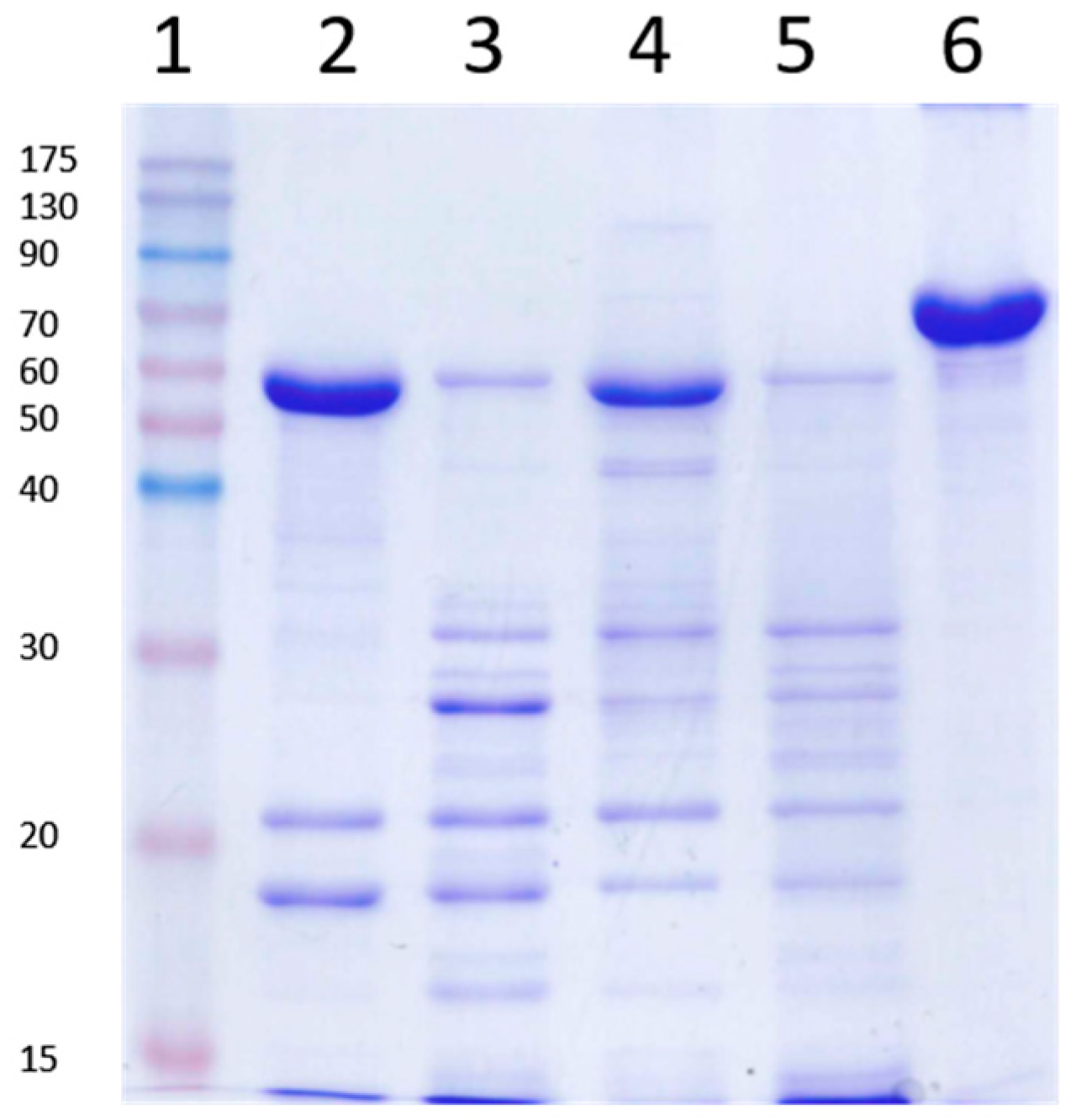 Toxins 09 00131 g004