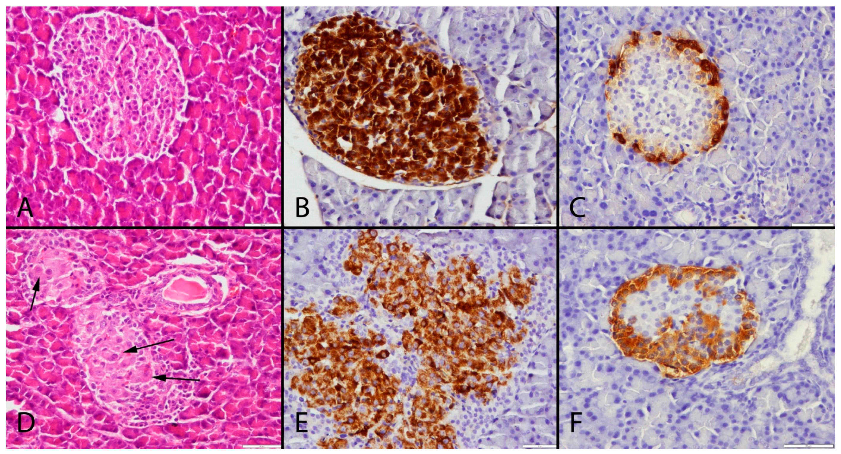 Toxins 09 00144 g001 550