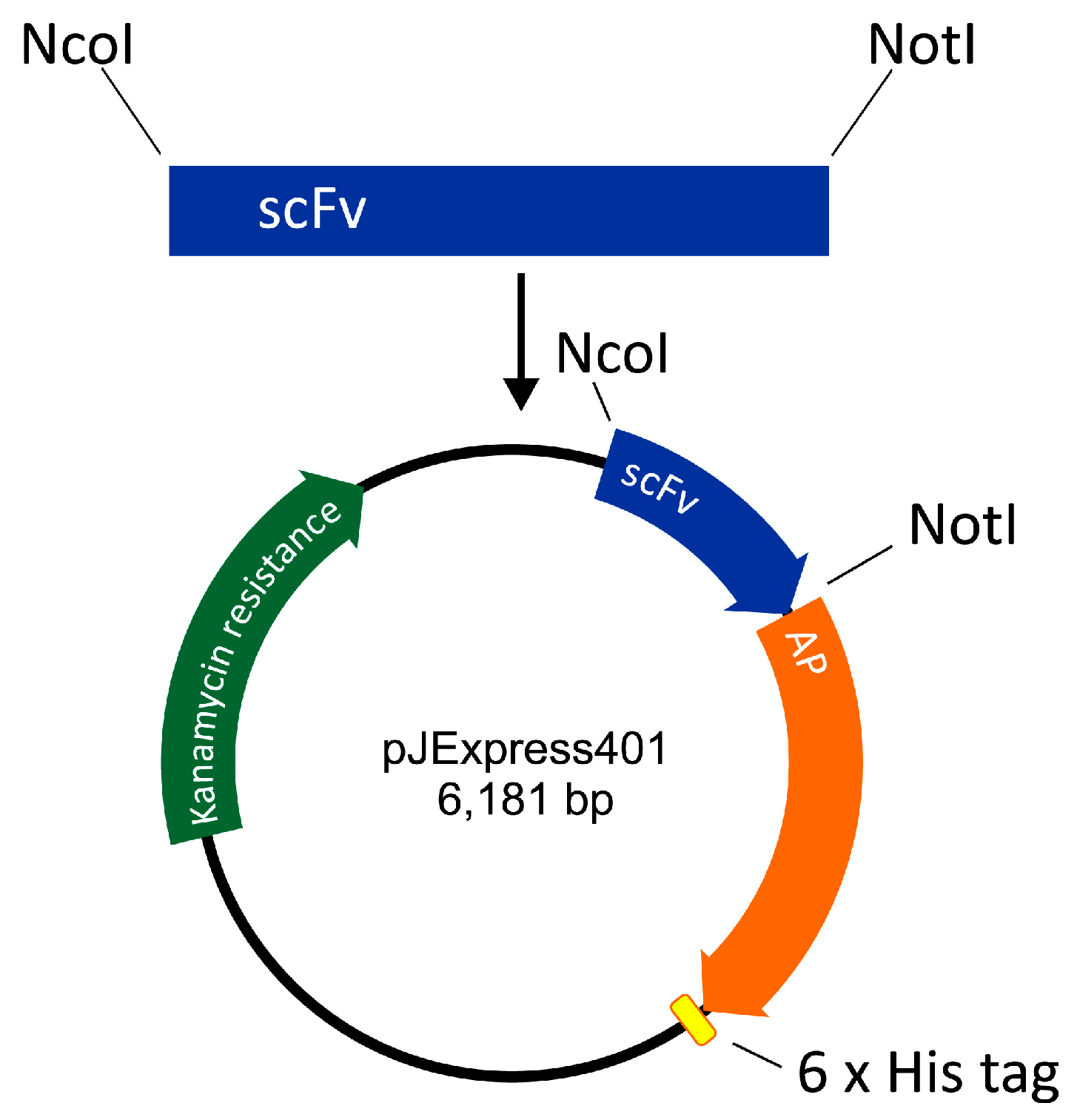 Toxins 09 00145 g004