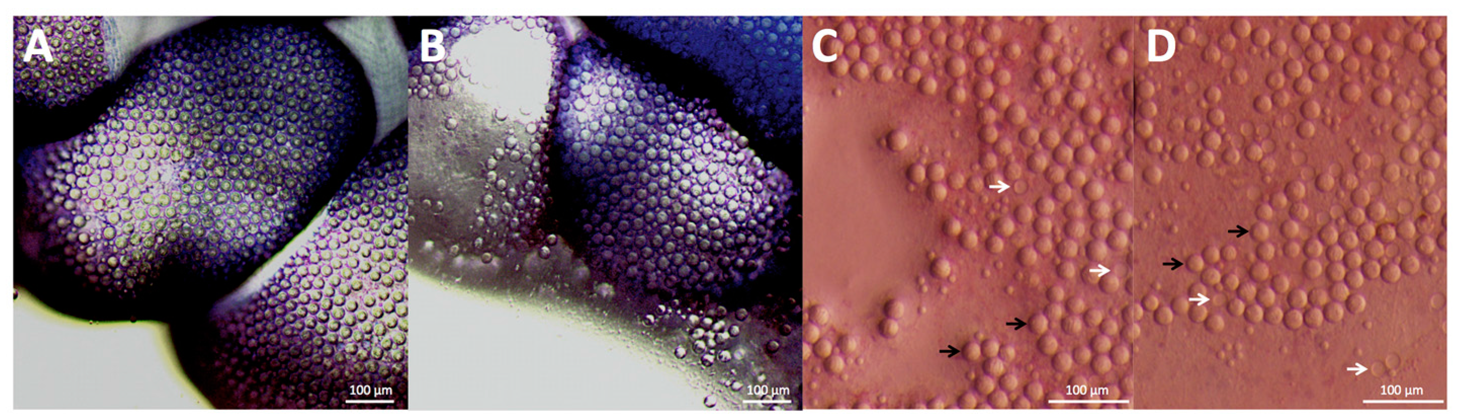 Toxins 09 00149 g001