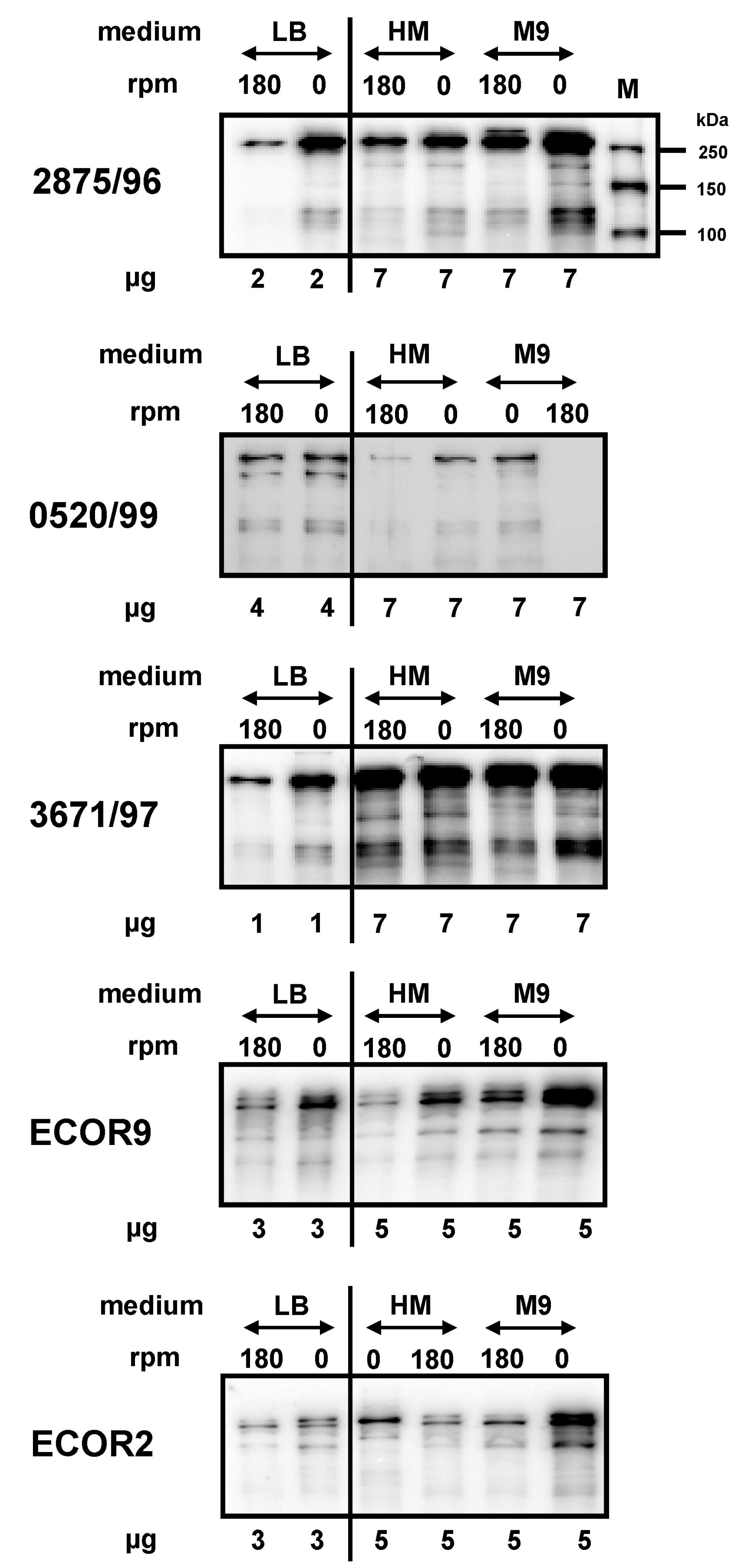 Toxins 09 00153 g002