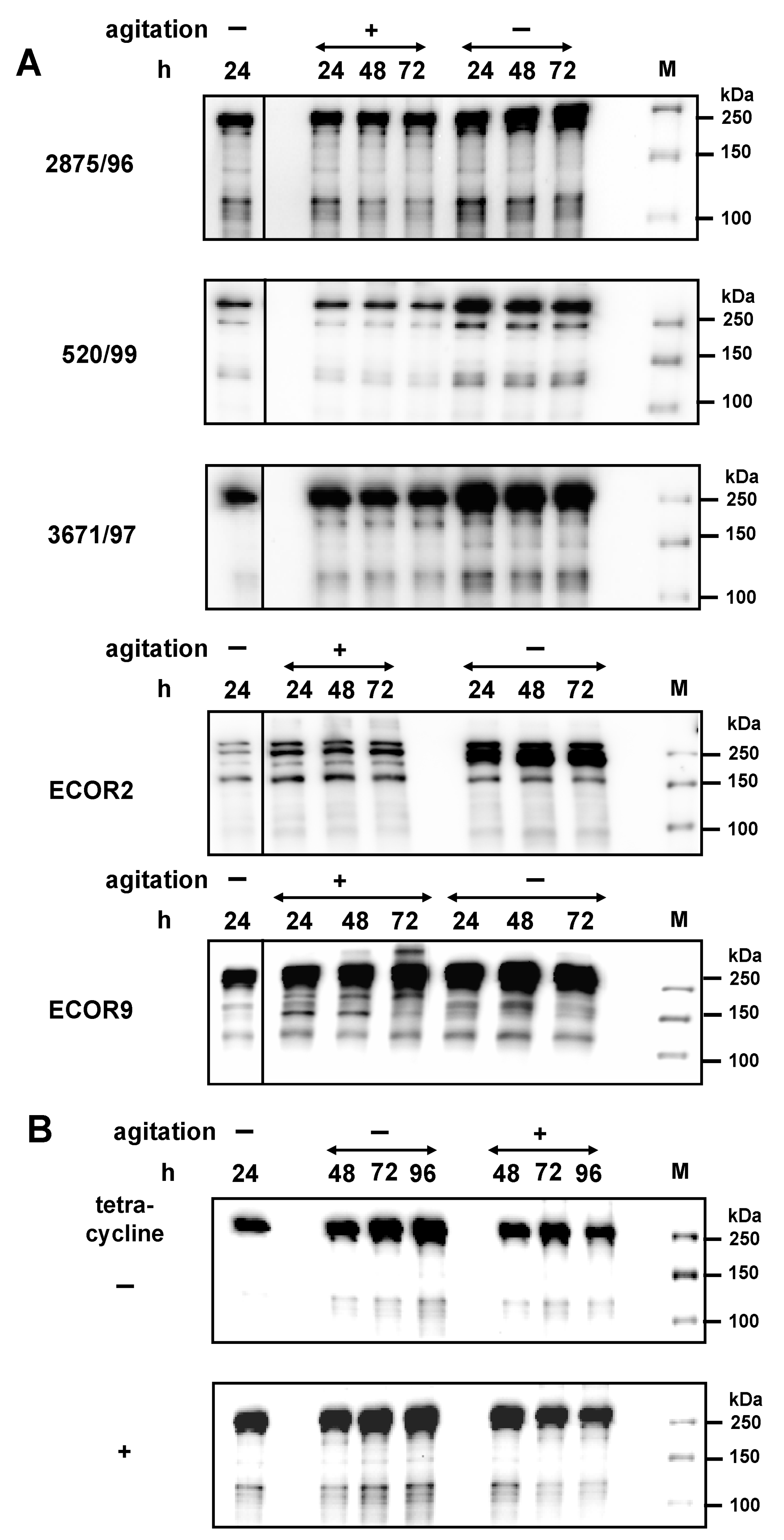 Toxins 09 00153 g005