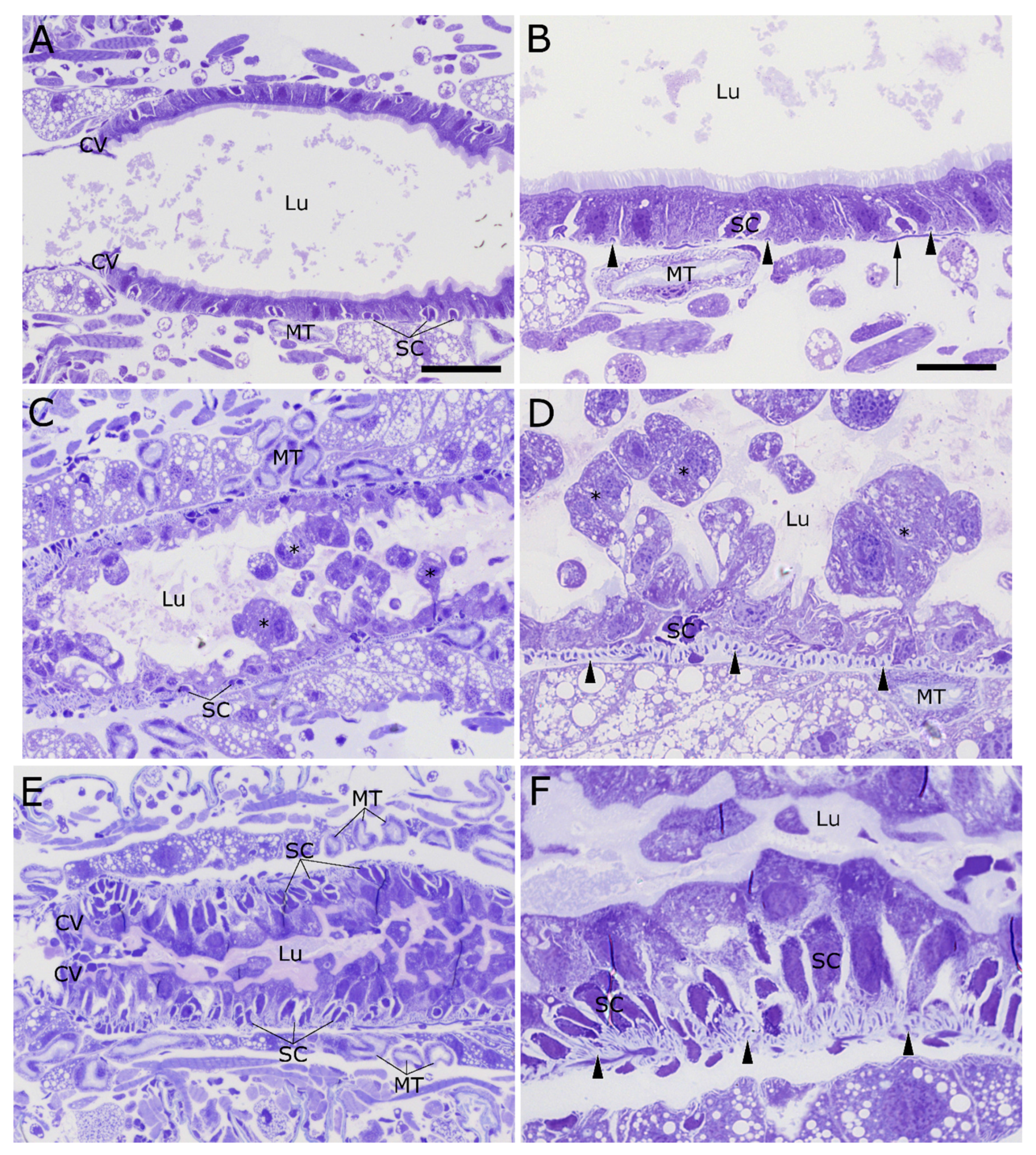 Toxins 09 00156 g002
