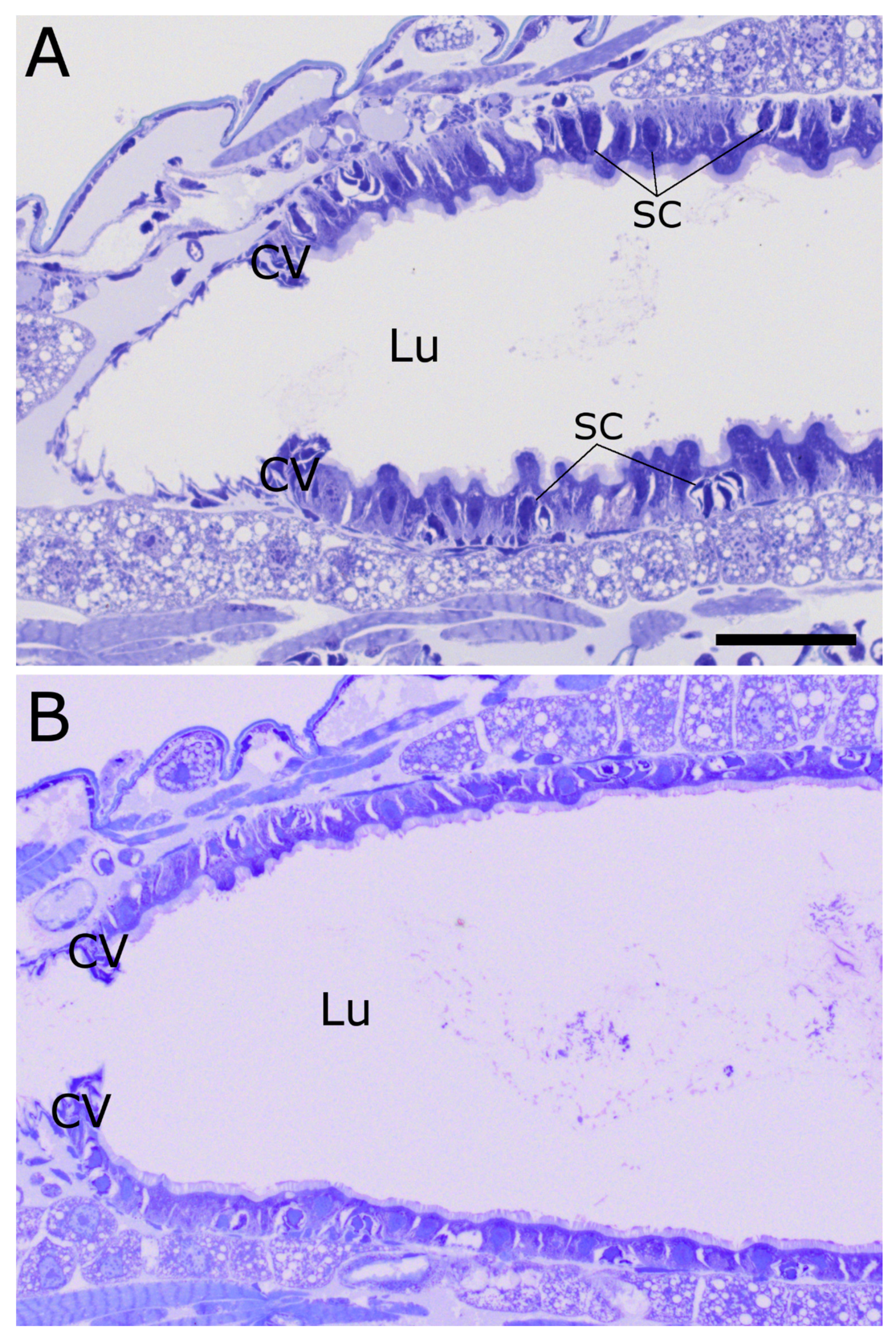 Toxins 09 00156 g003