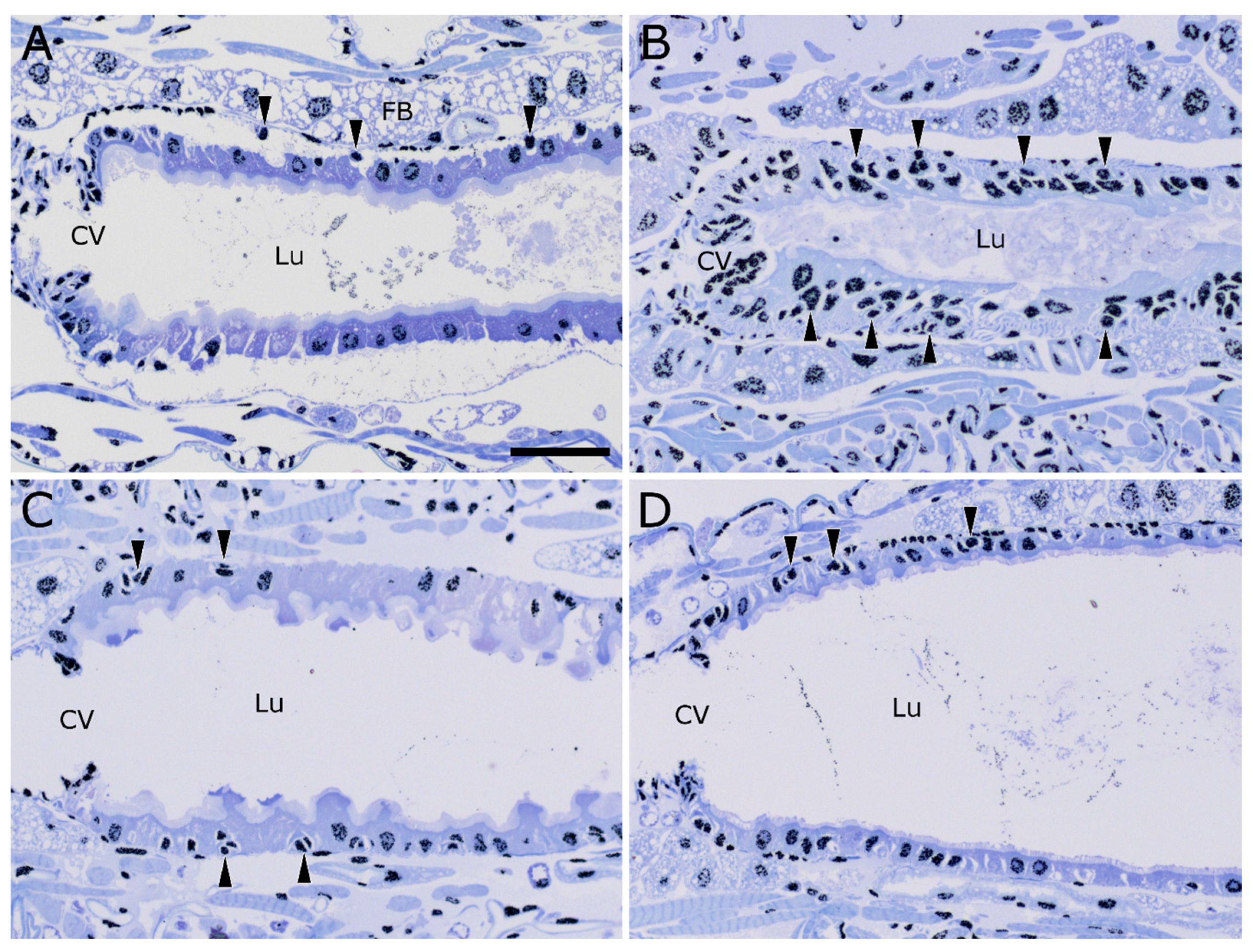 Toxins 09 00156 g004