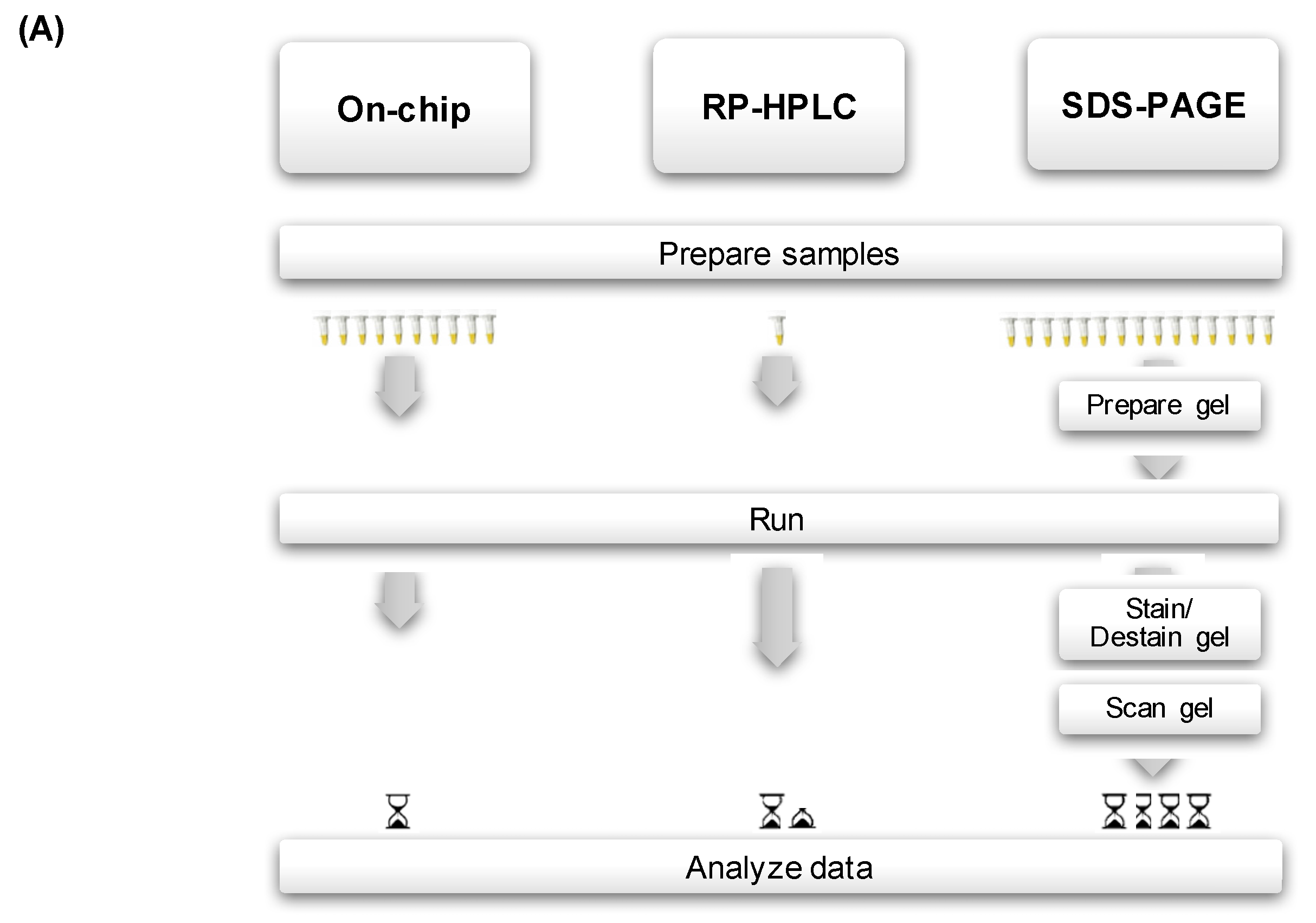 Toxins 09 00179 g002a