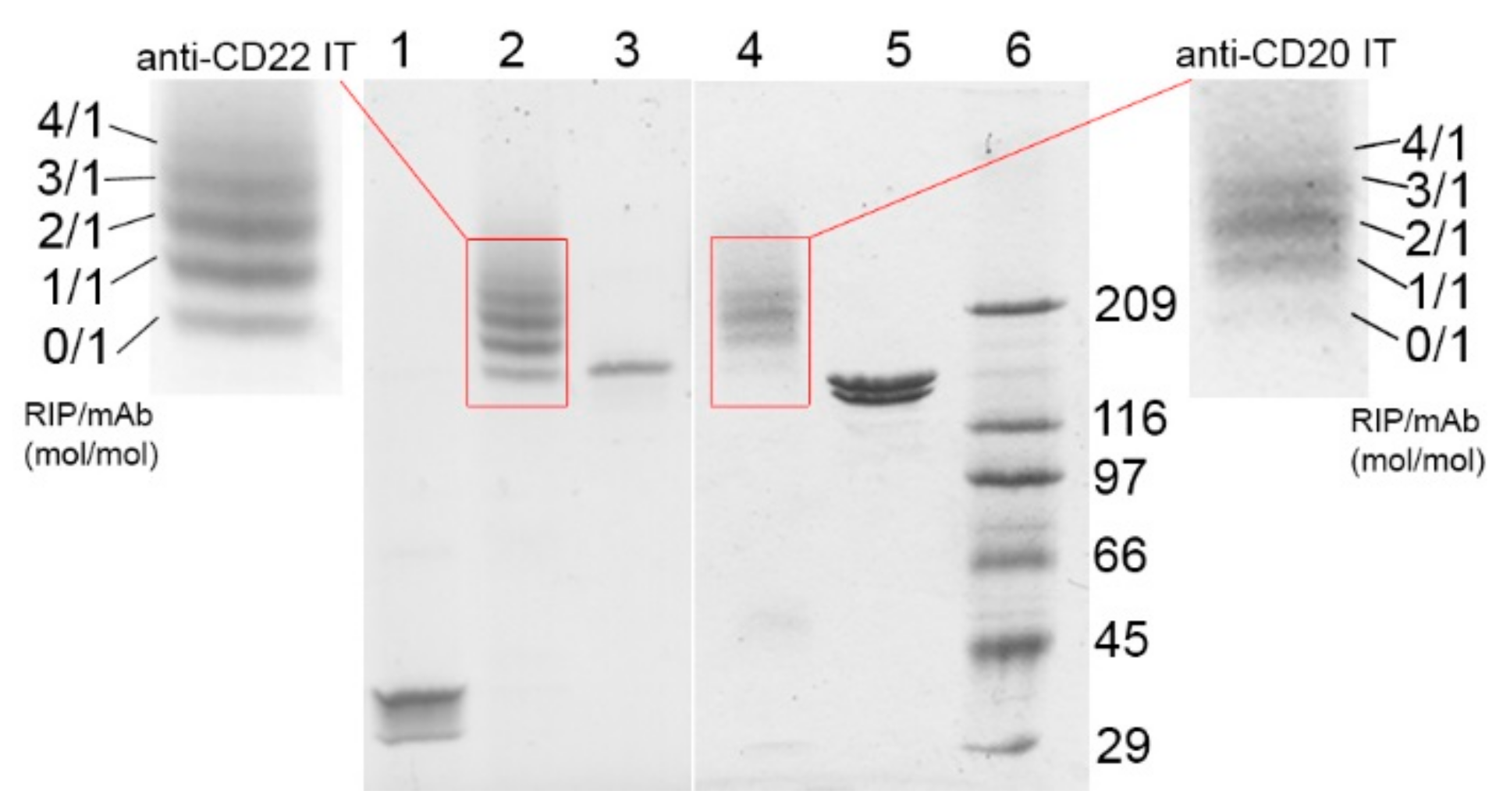 Toxins 09 00182 g001 550