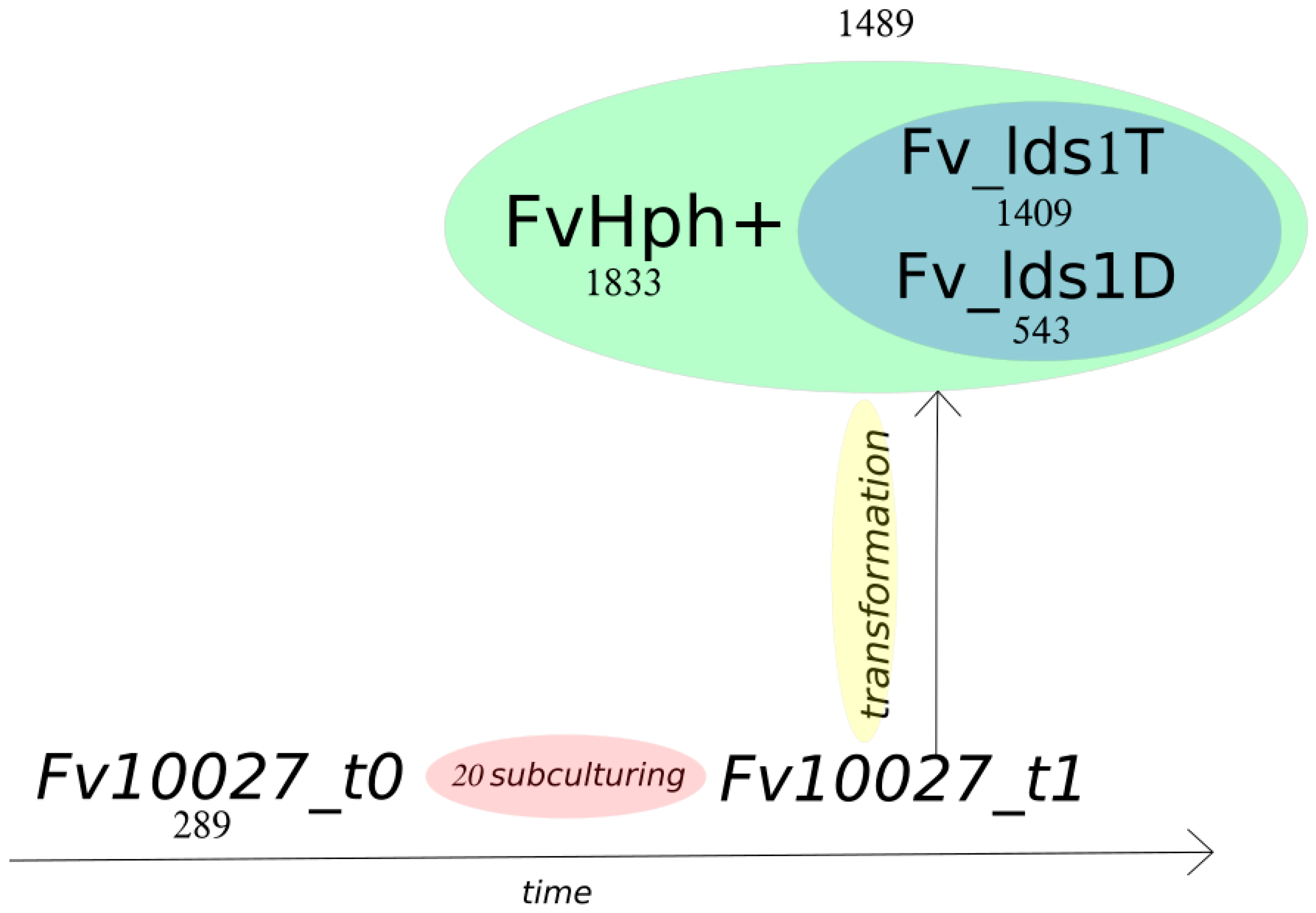 Toxins 09 00183 g004 550