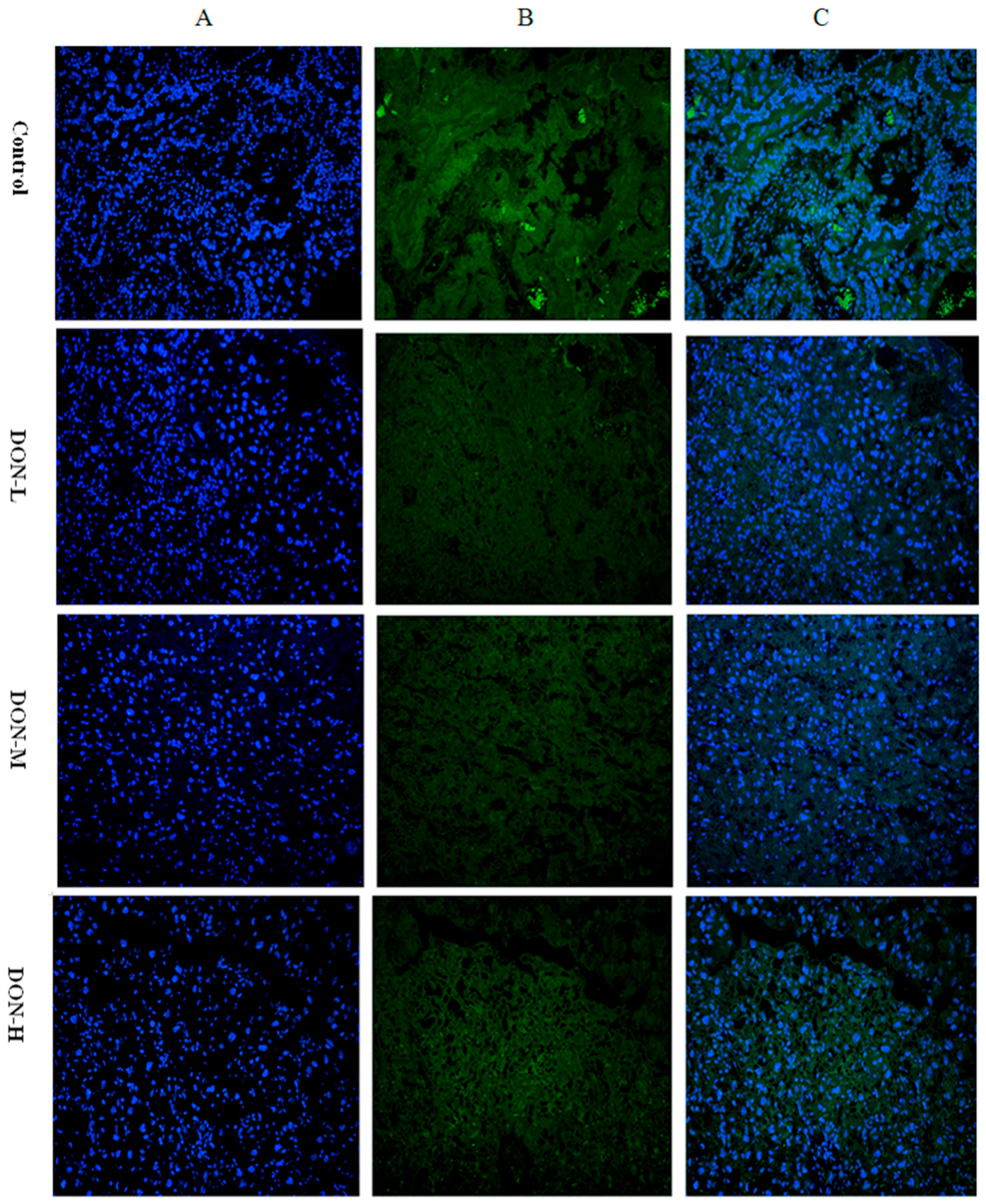 Toxins 09 00188 g004a 550