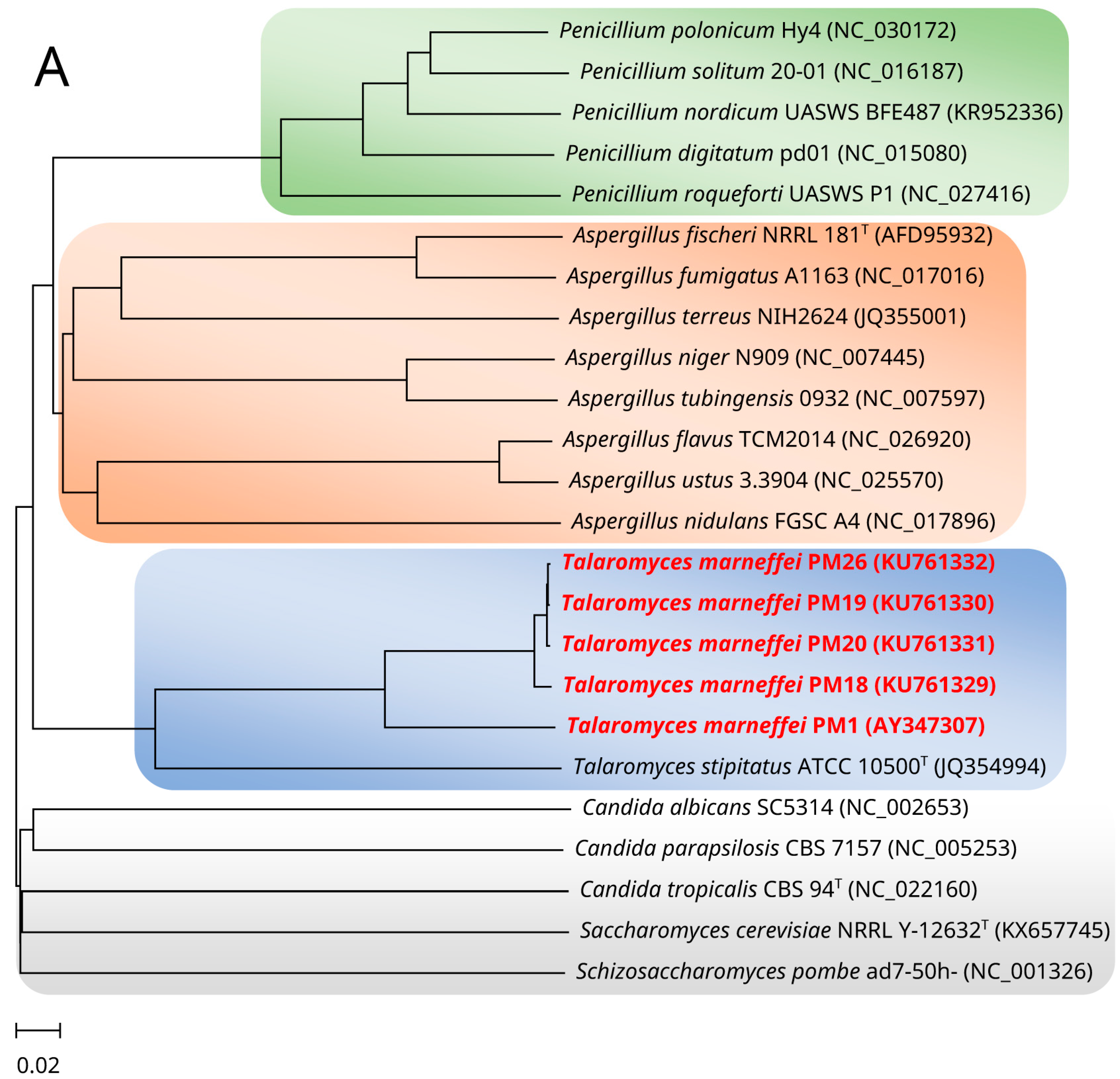 Toxins 09 00192 g002a