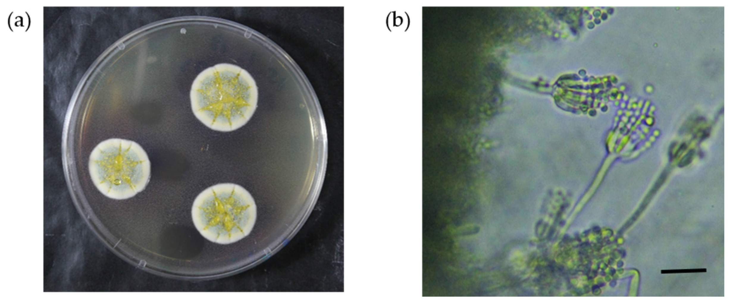 Toxins 09 00194 g003