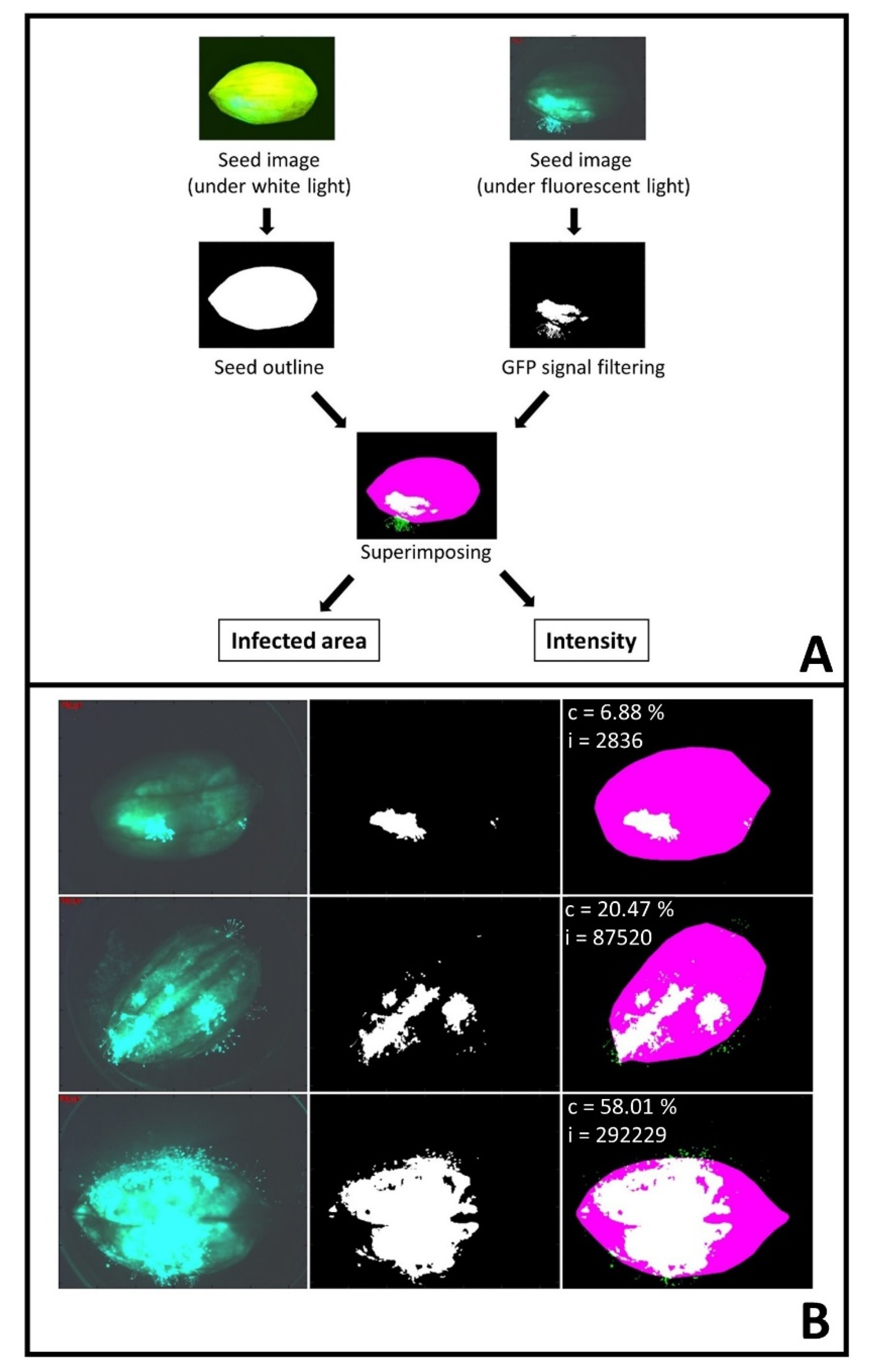 Toxins 09 00218 g002