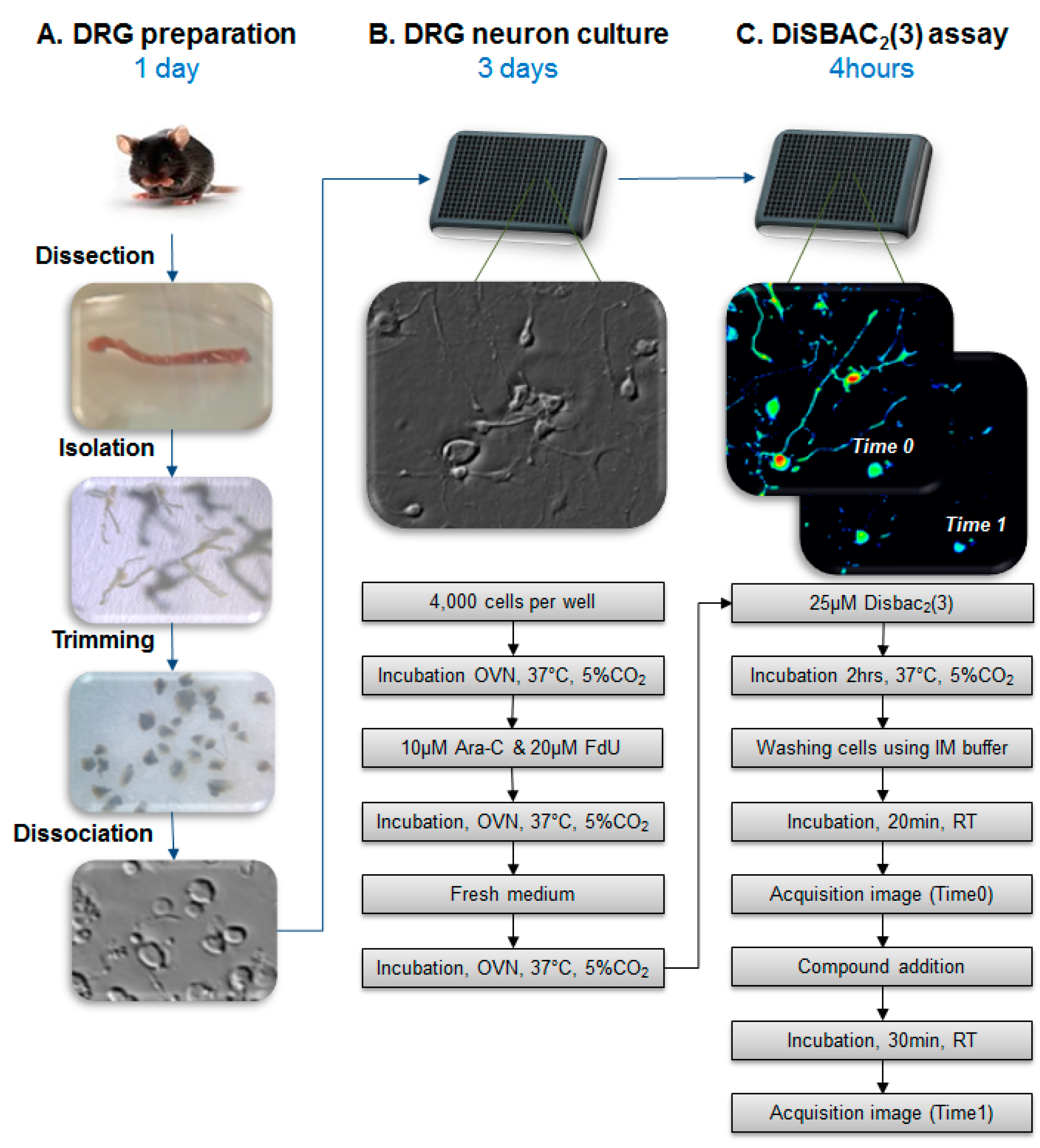 Toxins 09 00227 g007