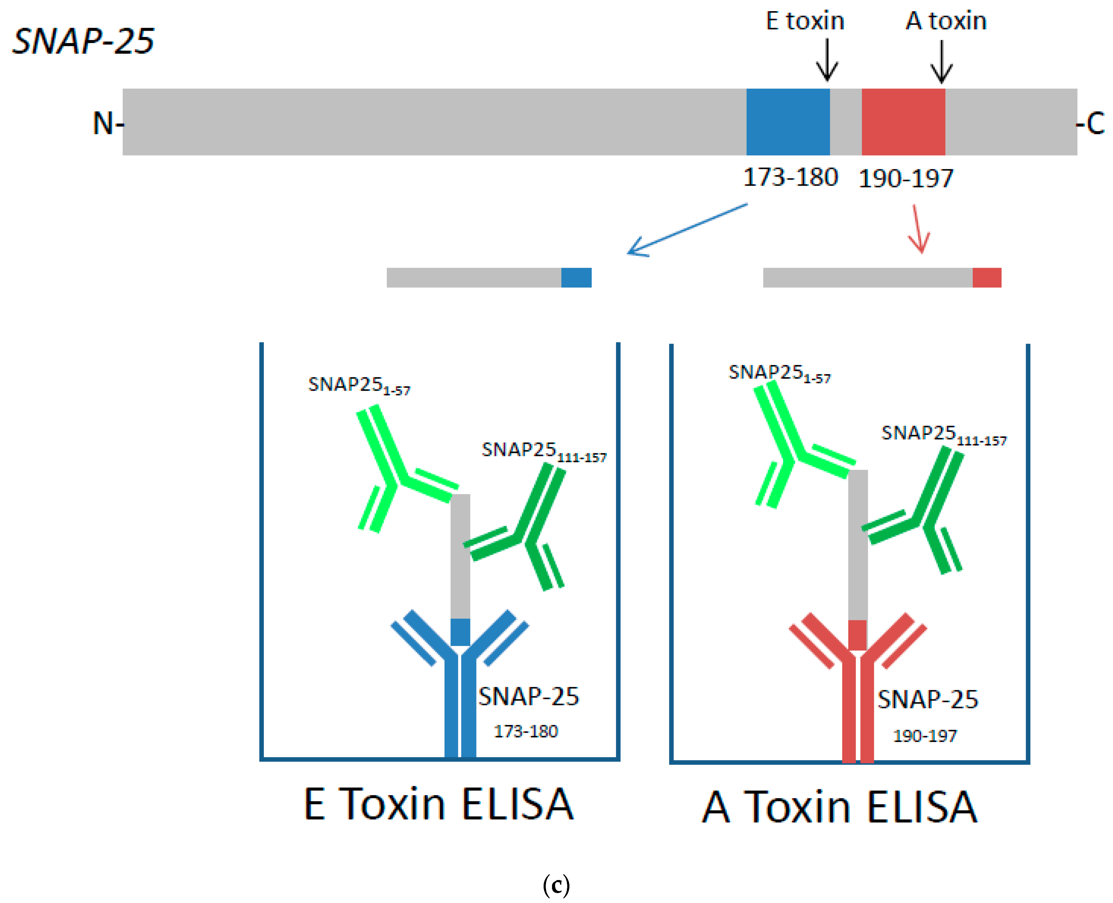 Toxins 09 00230 g002b Toxins 09 00230 g002b
