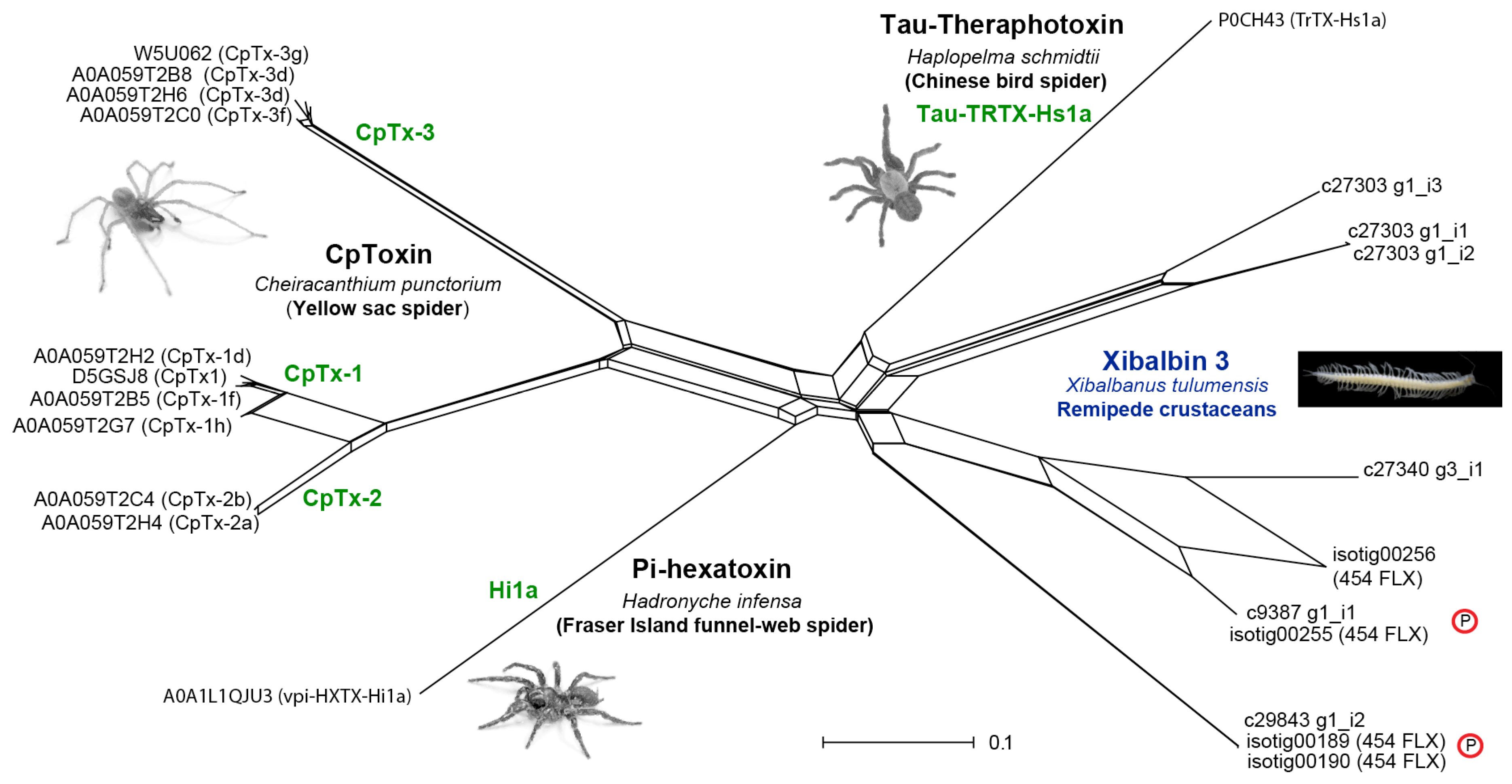 Toxins 09 00234 g007