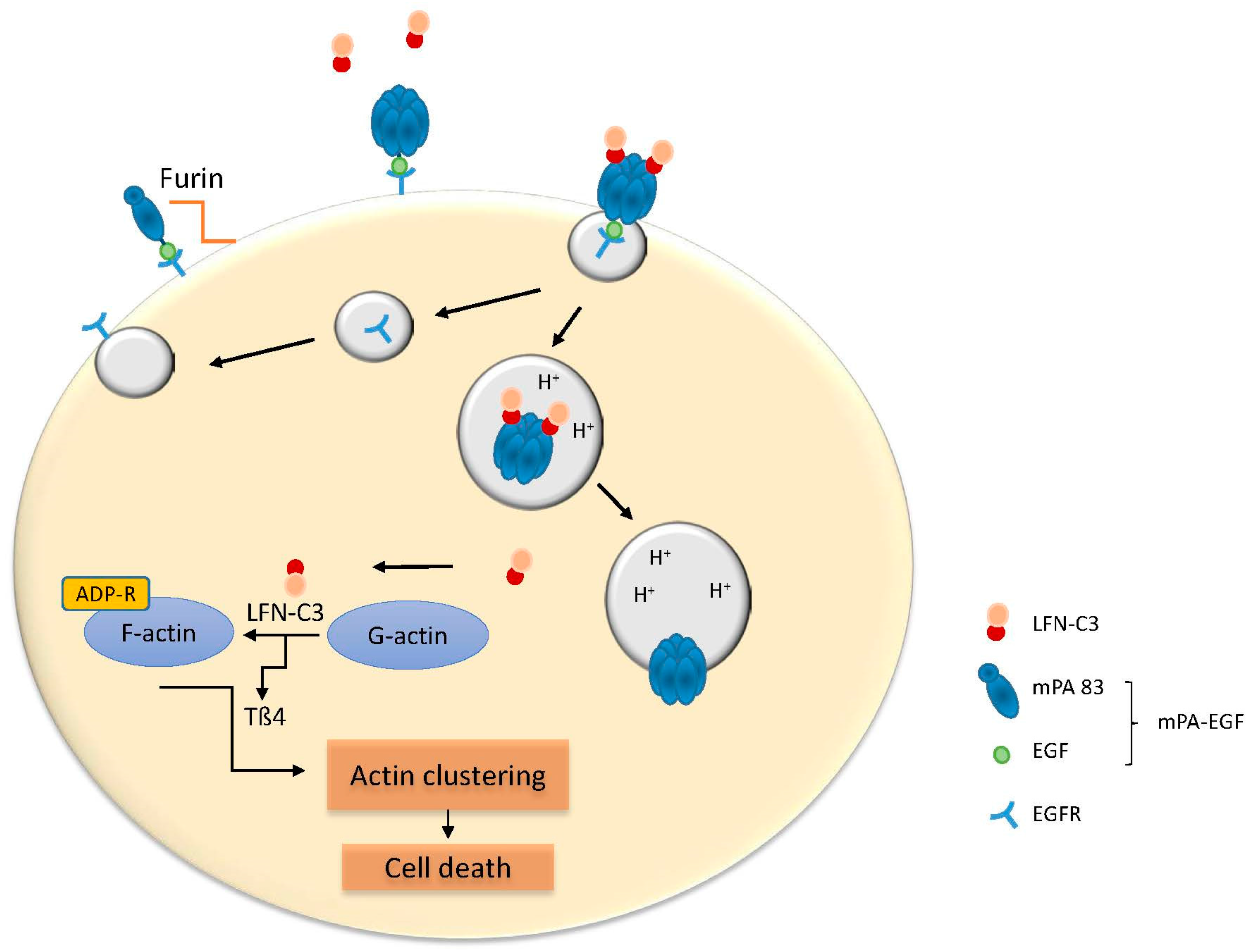 Toxins 09 00236 g003 550