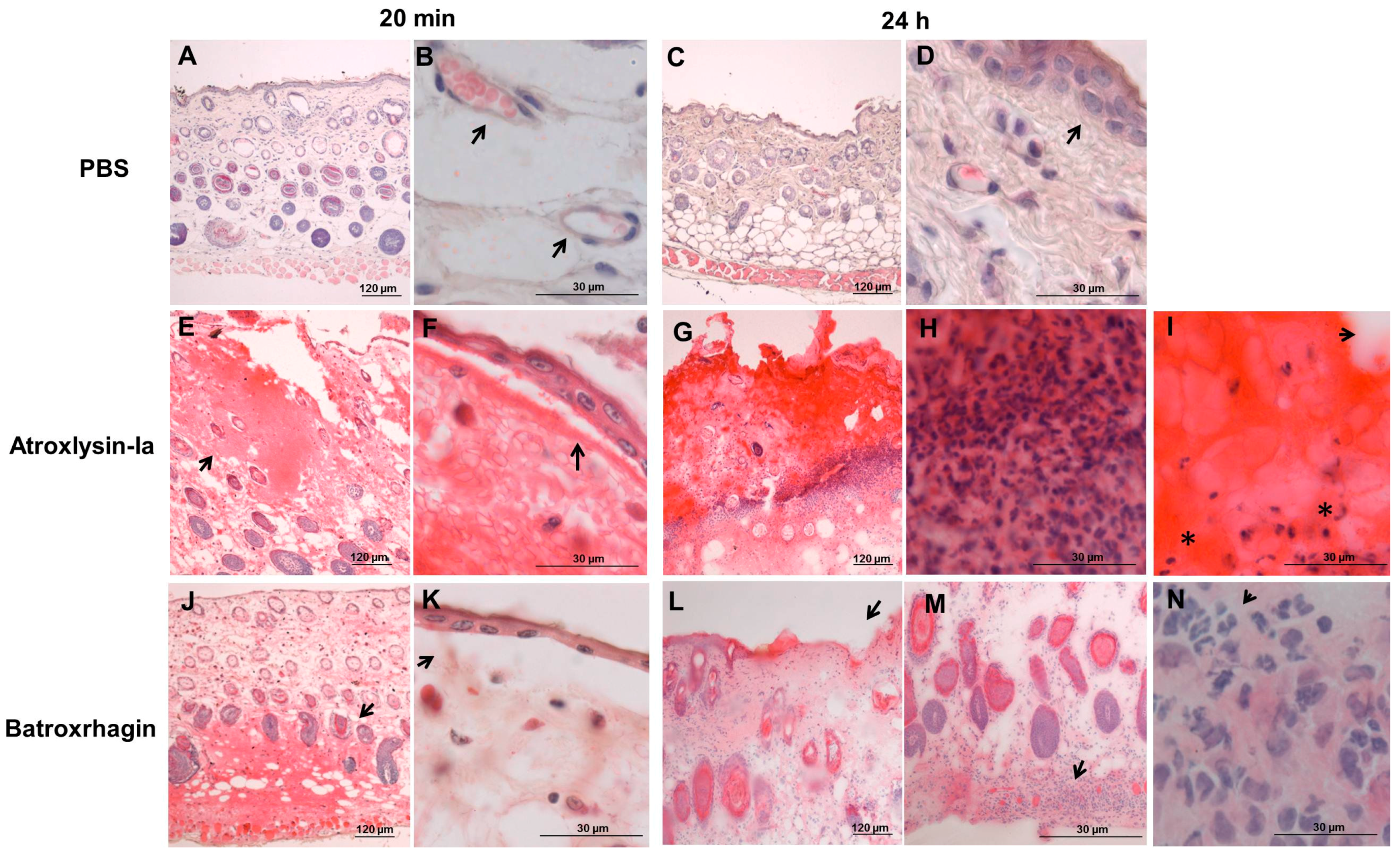 Toxins 09 00239 g004