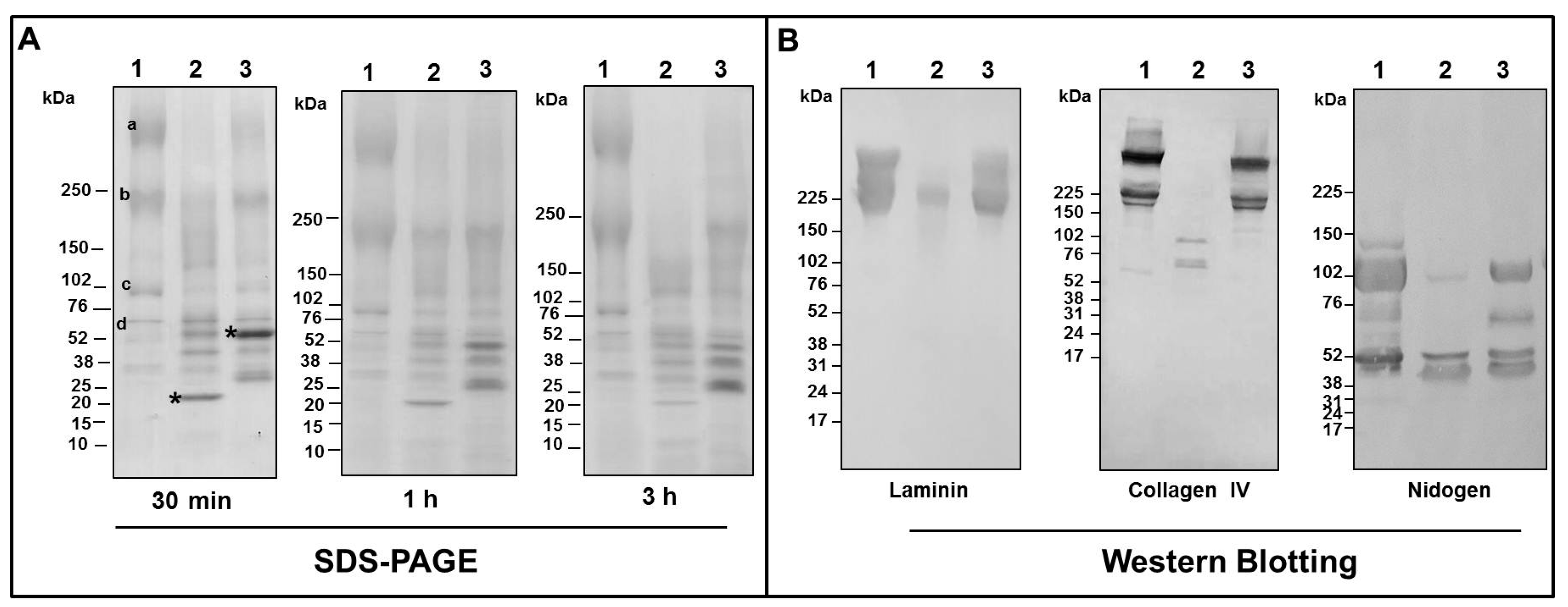 Toxins 09 00239 g009
