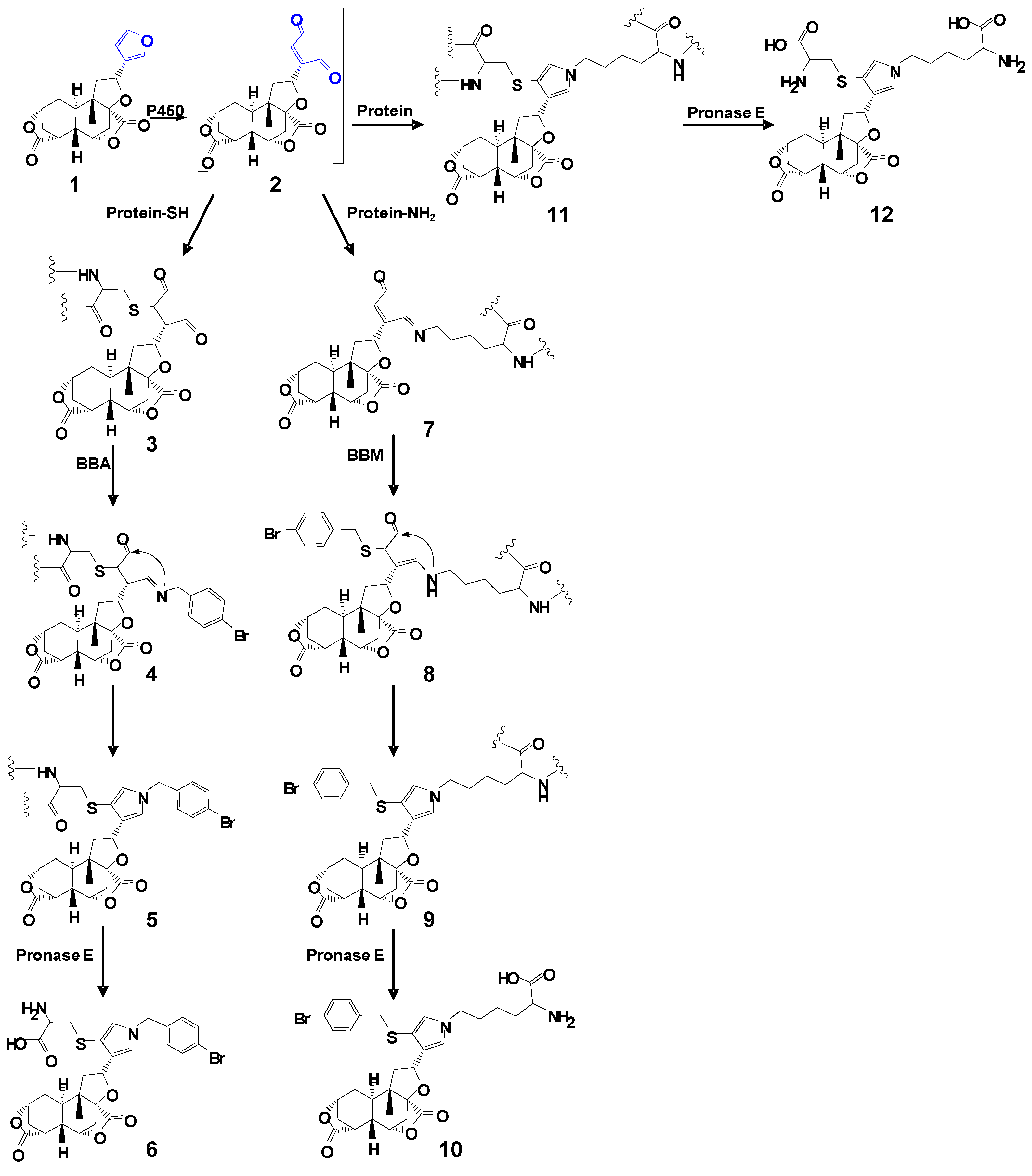 Toxins 09 00249 sch001 550