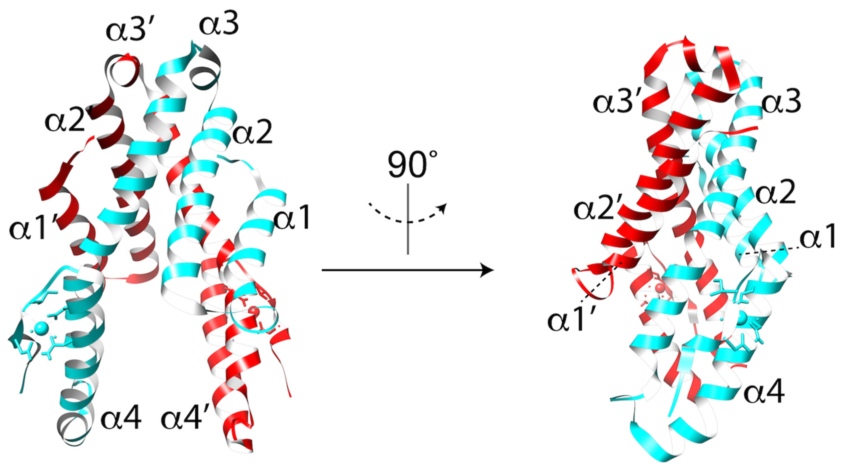 Toxins 09 00265 g004