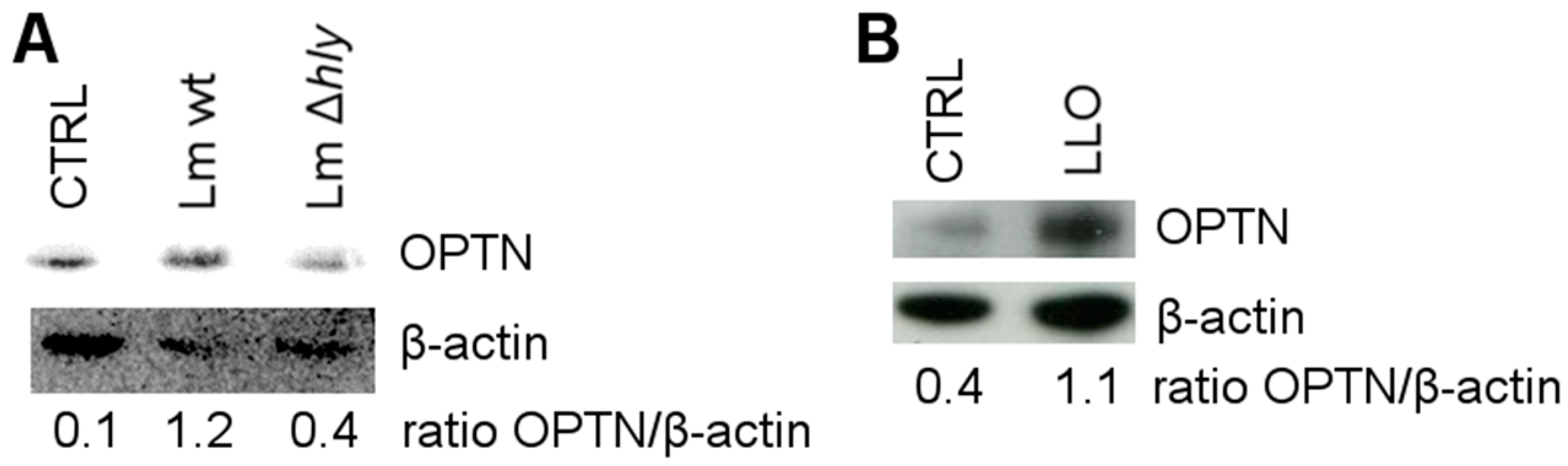 Toxins 09 00273 g002