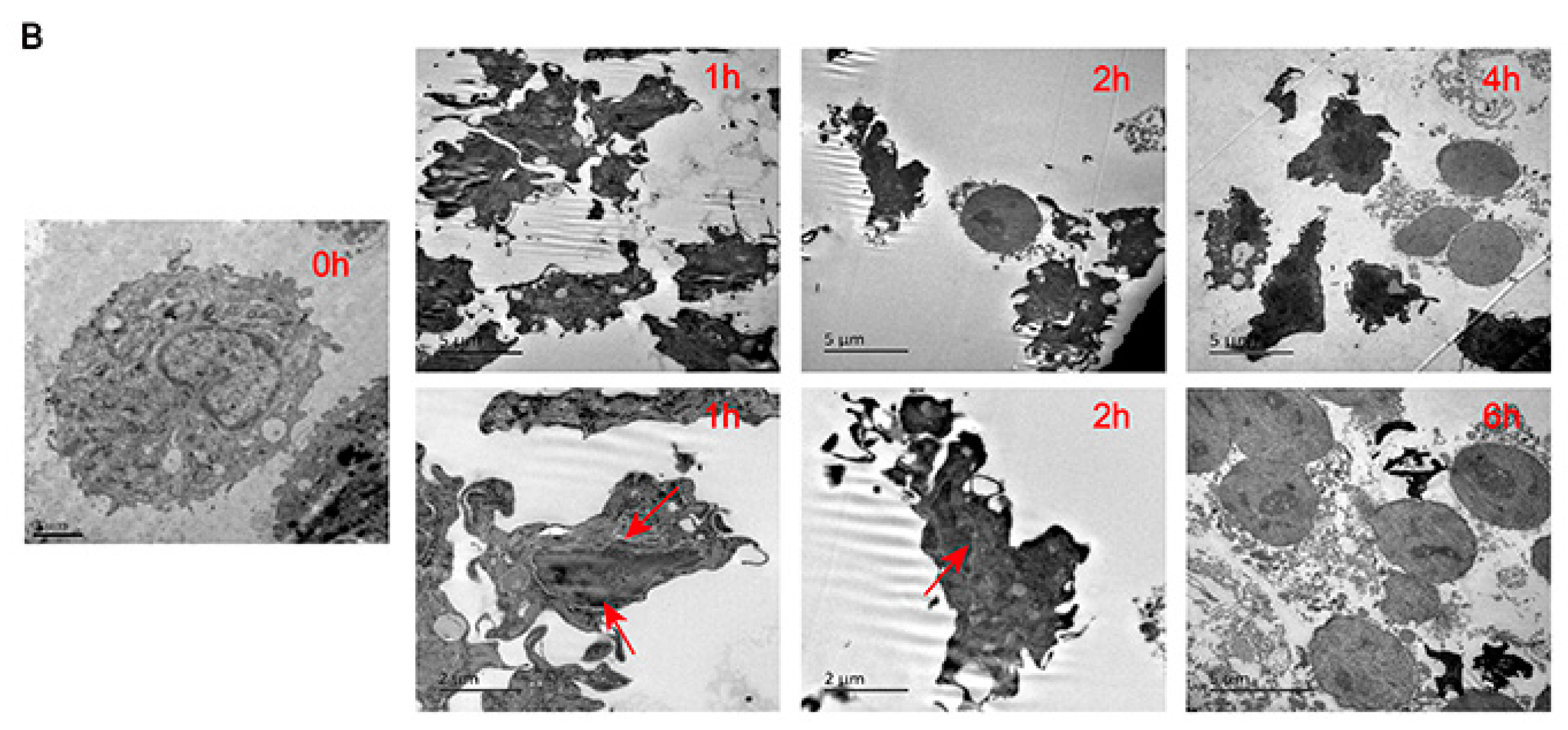 Toxins 09 00275 g007b